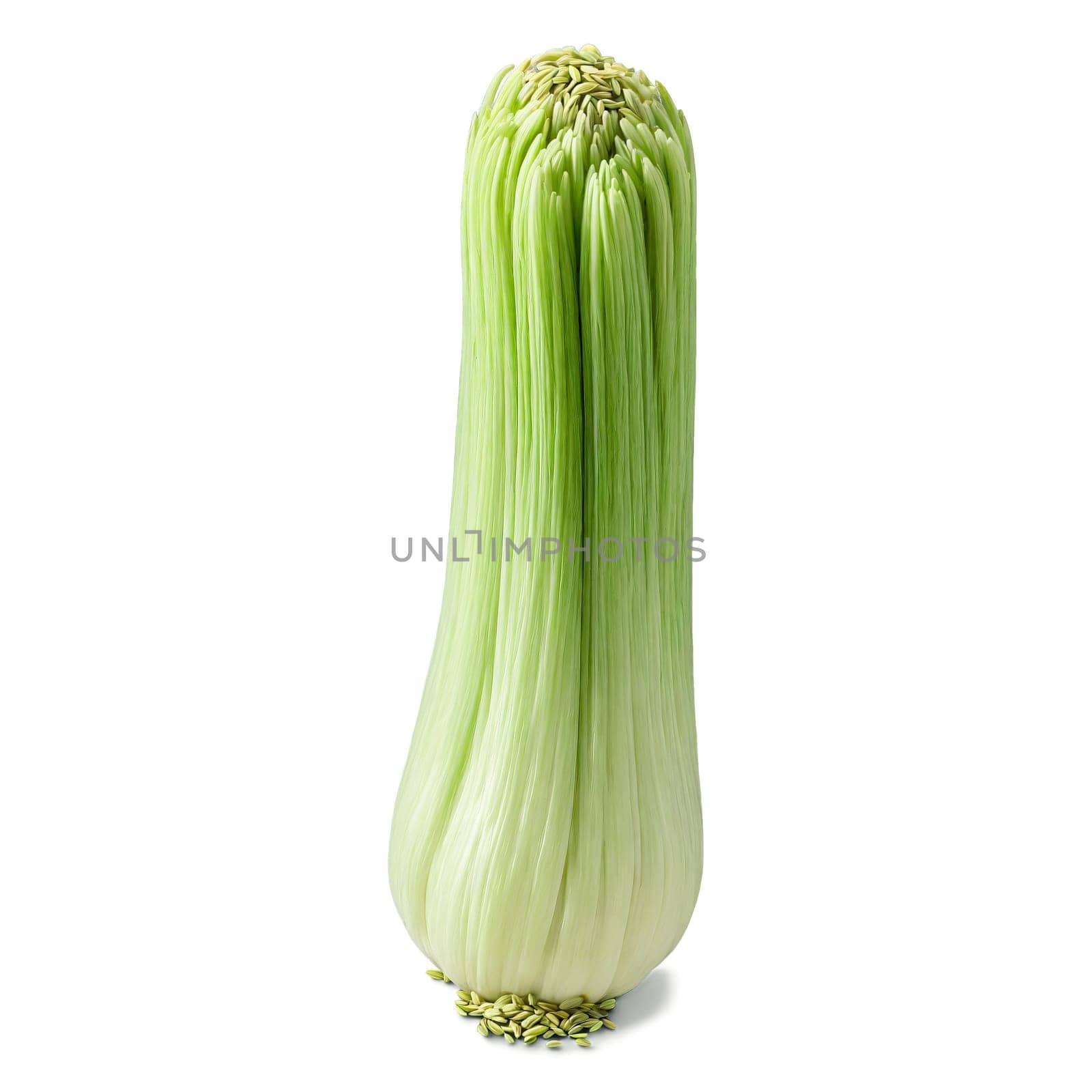 Whole fennel seeds pale green color elongated shape ridged texture Food and culinary concept by panophotograph