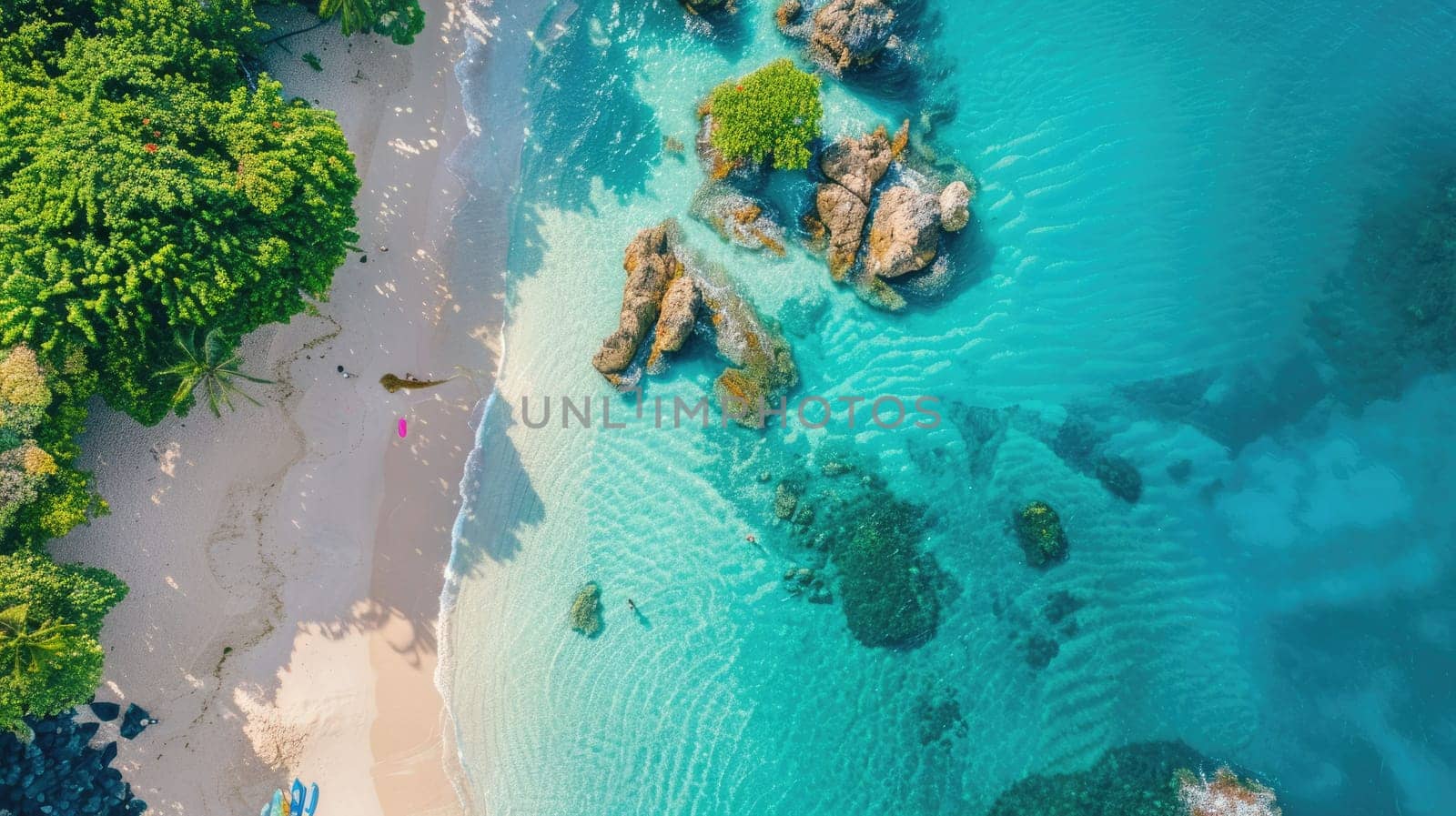 A stunning natural landscape featuring a beach lined with trees, surrounded by turquoise water. Perfect for a peaceful and relaxing travel destination AIG50