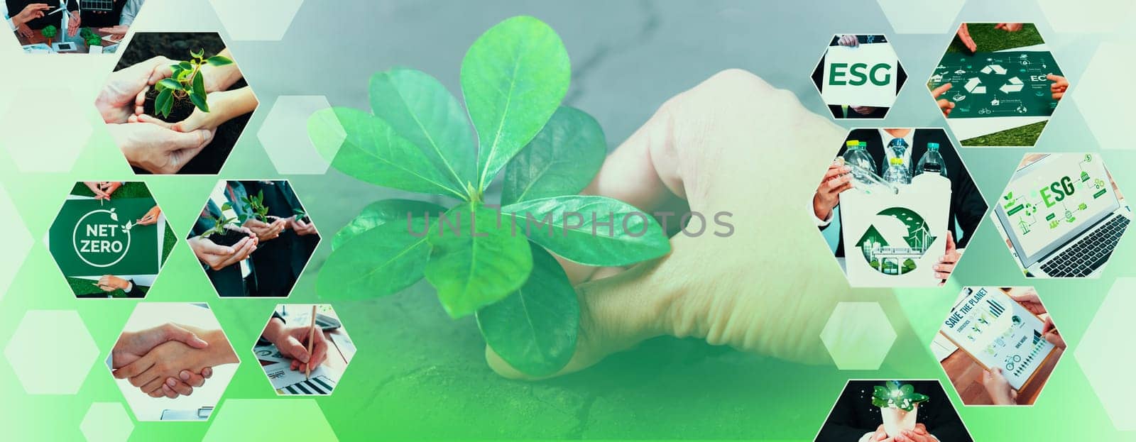 Green business ESG management tool to save world future concept model case idea to deal with bio carbon waste cycle data for better day of city life while building jobs, money, LCA tax and profit .