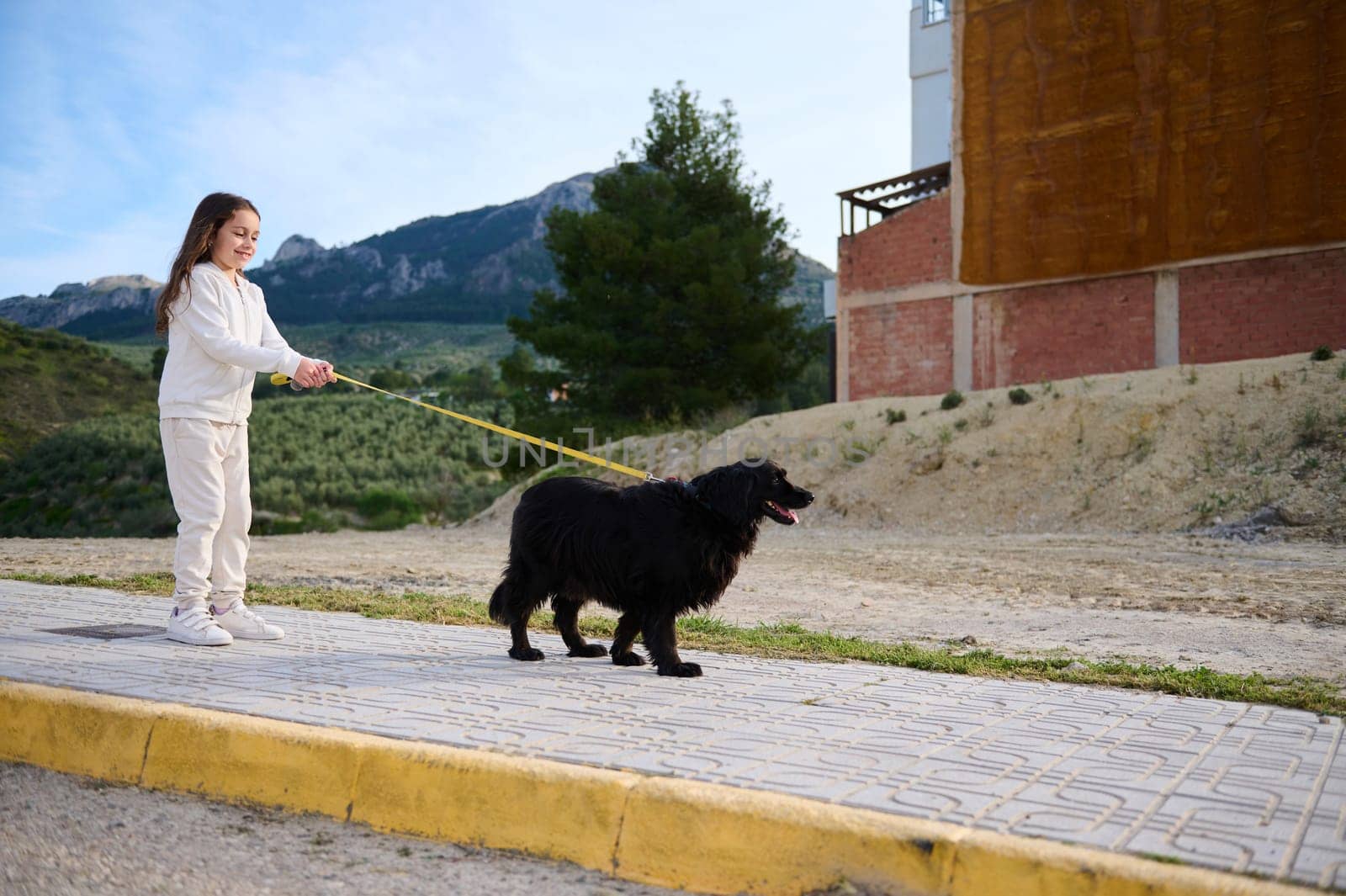 Adorable Caucasian little child kid girl enjoying her morning walk with her pedigree dog, a black purebred cocker spaniel in the mountains nature outdoors. People. Nature and playing pets concept
