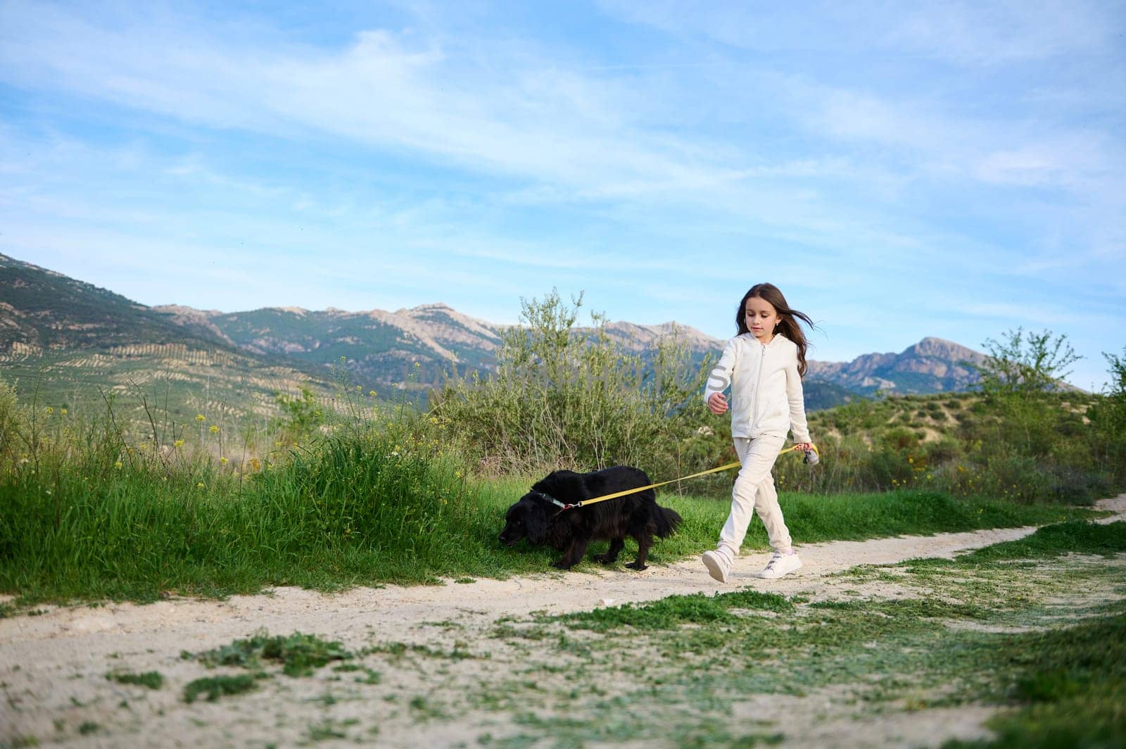 Adorable Caucasian child girl walking her pedigree dog, a black purebred cocker spaniel in the hills mountains nature outdoors on a sunny day. People. Nature and playing pets concept