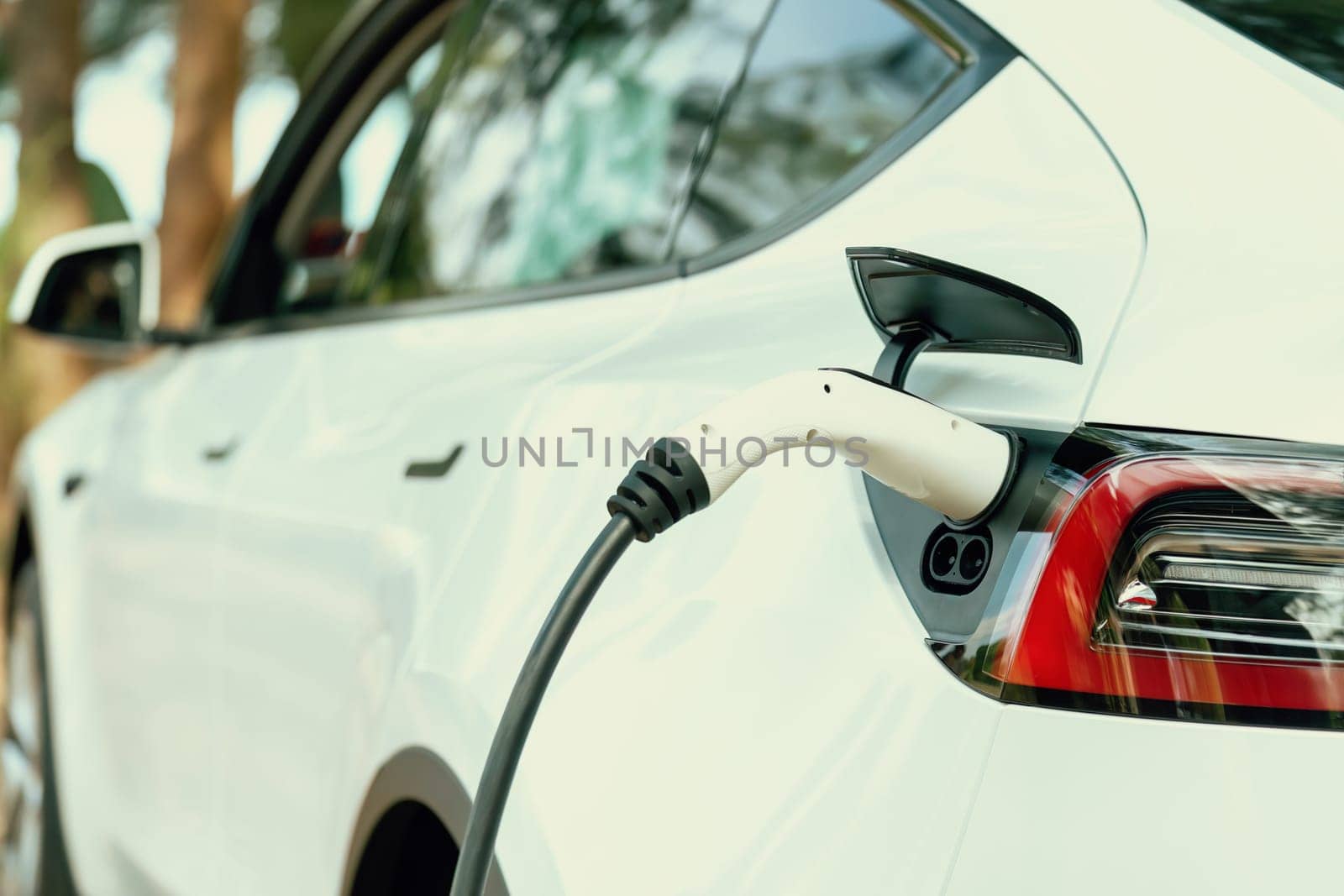 Closeup EV charger handle plugged in or connect to electric car, recharging EV car battery with alternative and sustainable energy with zero CO2 emission for clean environment. Perpetual