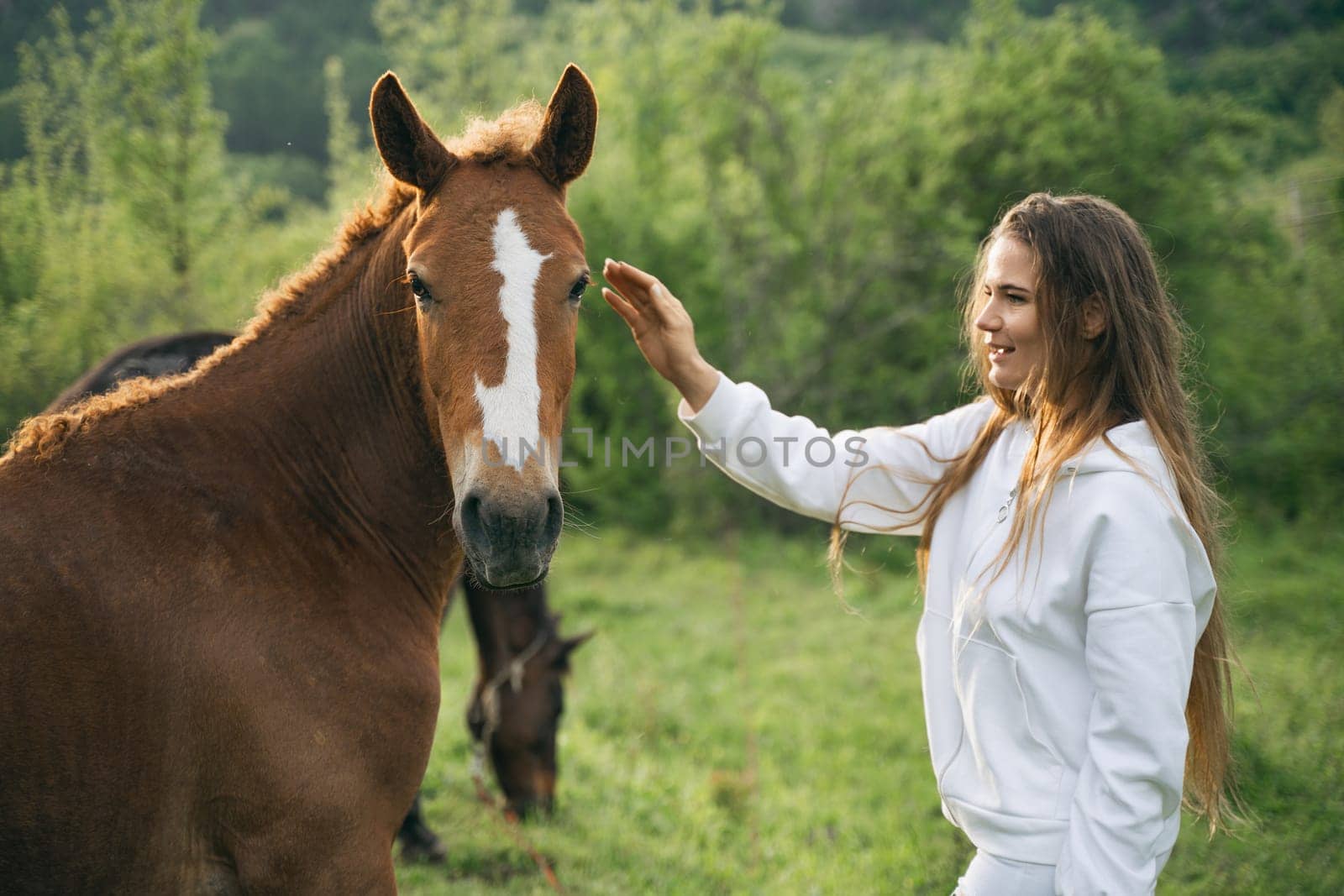 A woman is petting a brown horse in a field. The horse is standing next to another horse. by Matiunina