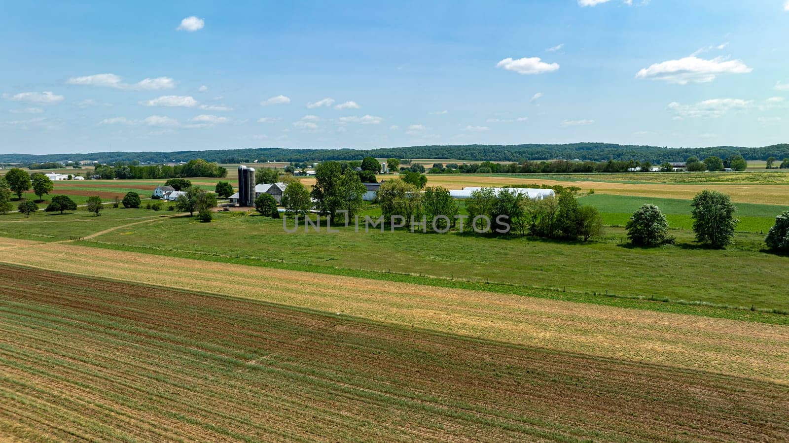 A farm with a barn and a pond. The sky is blue and the grass is green