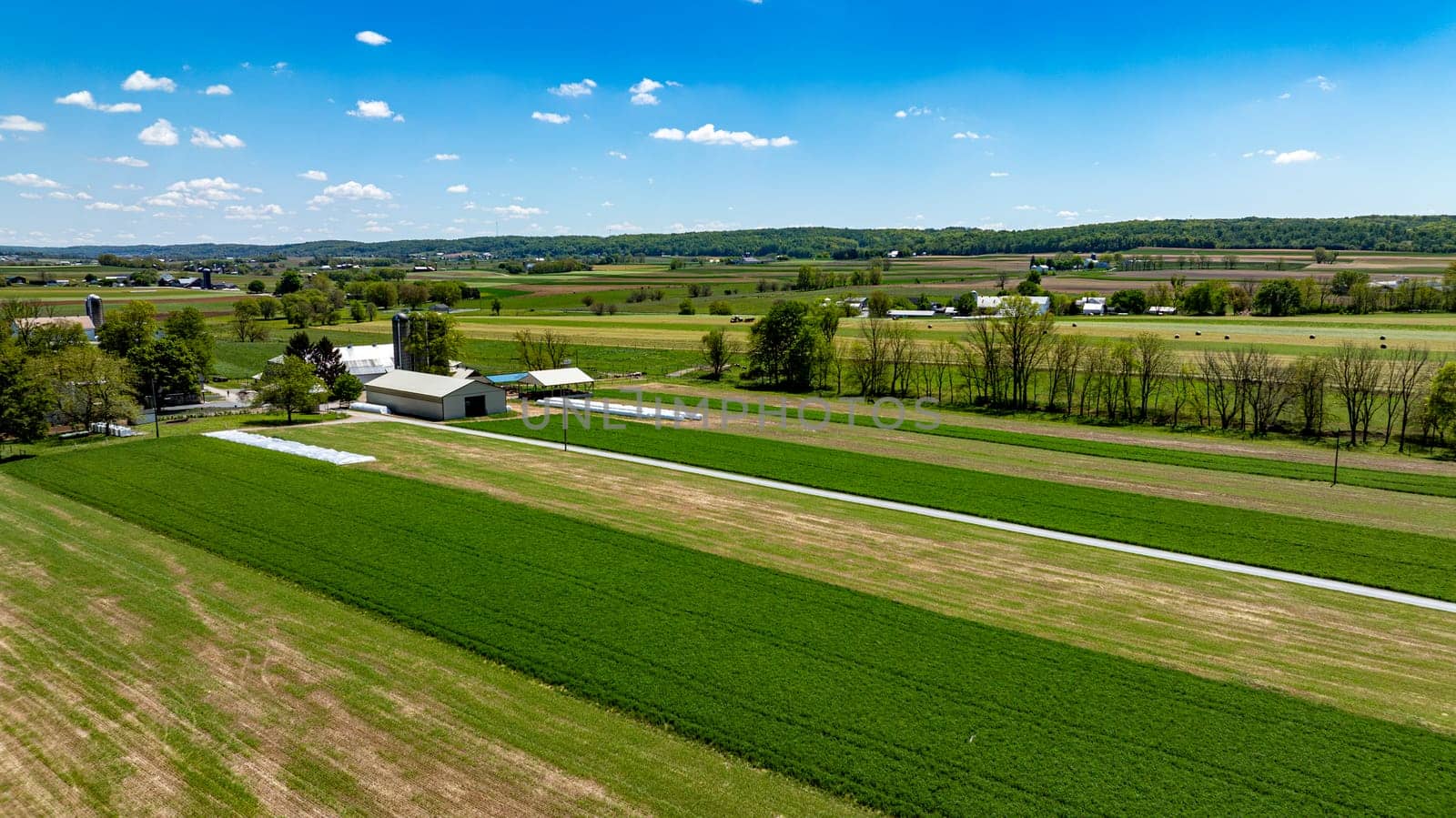 Aerial photograph captures the sweeping landscape of a rural area, with lush green and brown agricultural fields divided by a straight rural road, under a vibrant blue sky with fluffy clouds.