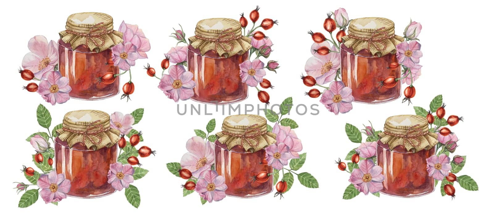 Set of home made rose hip jam in glass jar with fabric lid rope bow. Pancake, donut filling traditional Austrian German Swiss fruit preserve watercolor illustration for printing, labels, packaging