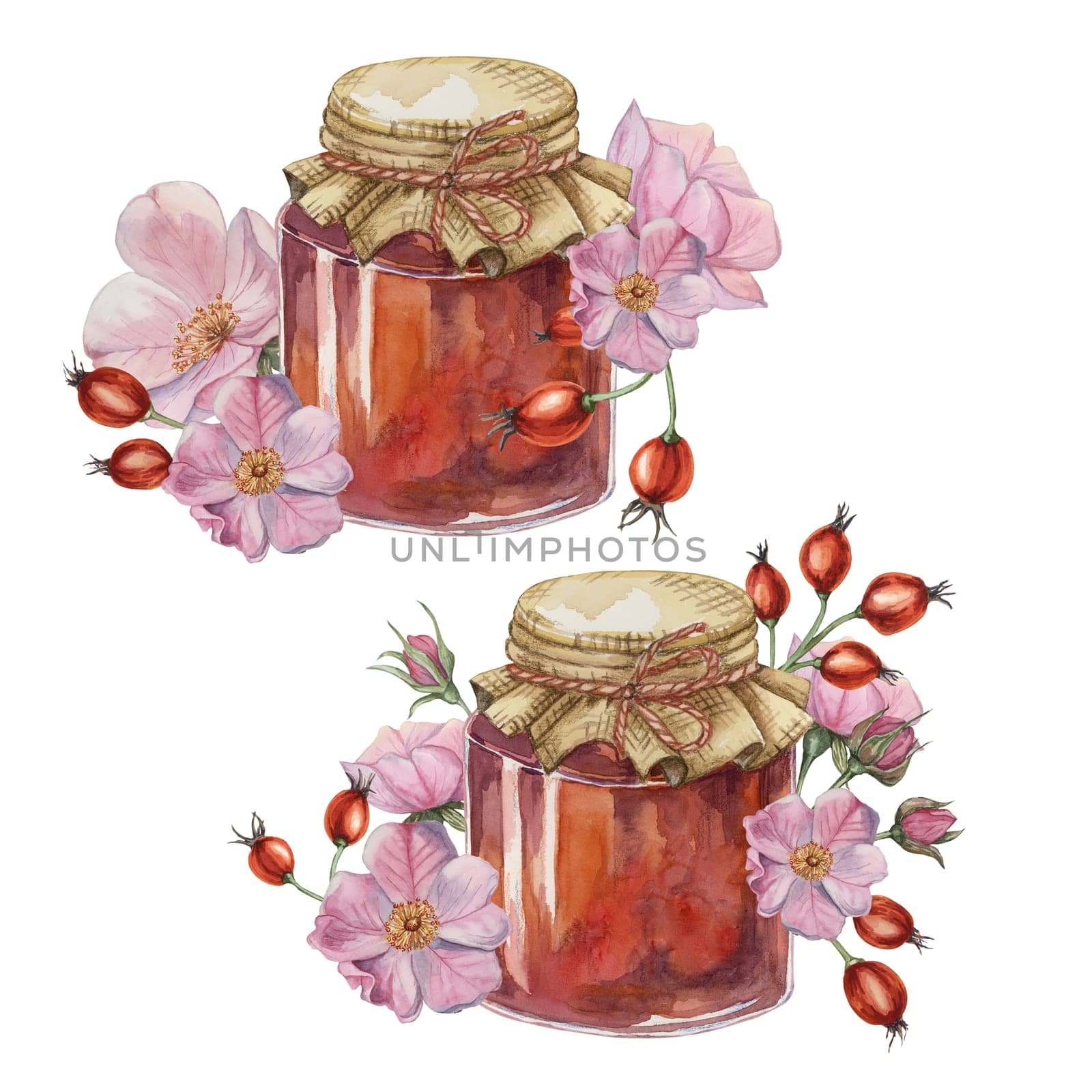 Set of home made rose hip jam in glass jar with fabric lid rope bow. Pancake, donut filling traditional Austrian German Swiss fruit preserve watercolor illustration for printing, labels, packaging
