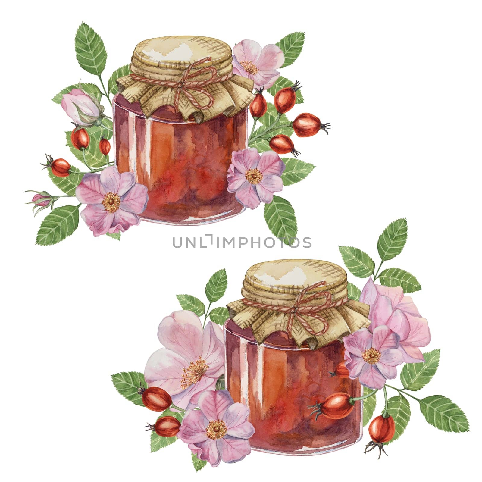 Set of rose hip jam in jars with rosa canina flowers berries. Pancake, donut filling German fruit preserve illustration for print, packaging, cards by Fofito
