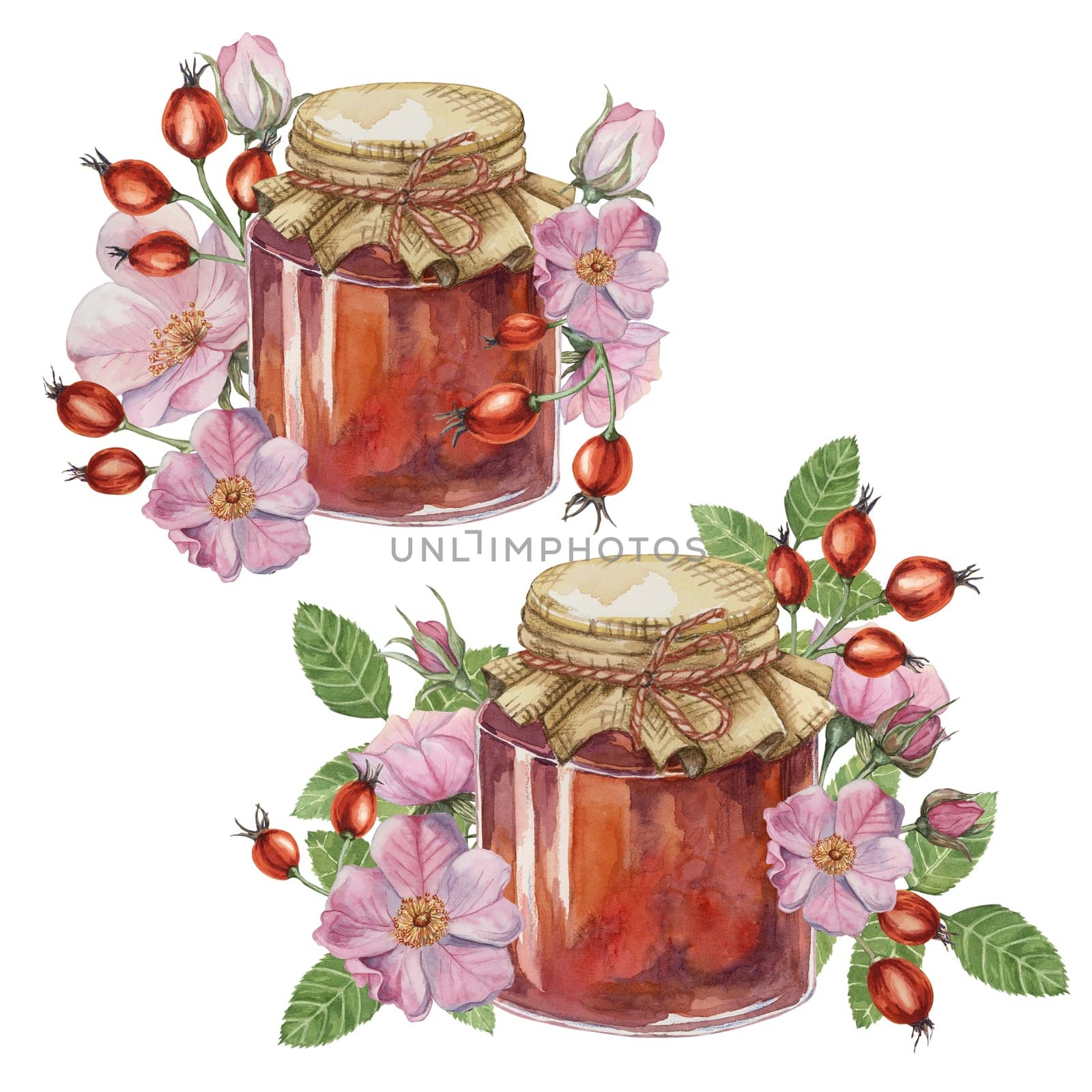 Set of home made rose hip jam in glass jar with fabric lid rope bow. Pancake, donut filling traditional Austrian German Swiss fruit preserve watercolor illustration for printing, labels, packaging