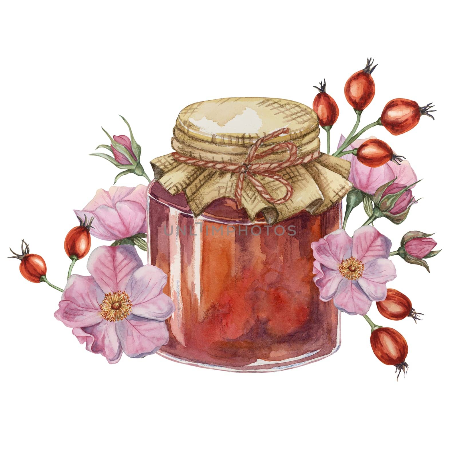 Rose hip jam in glass jar with canvas burlap fabric lid and twine rope bow. German fruit preserve jelly watercolor illustration for printing, food packaging, labels, cards, stickers, scrapbooking