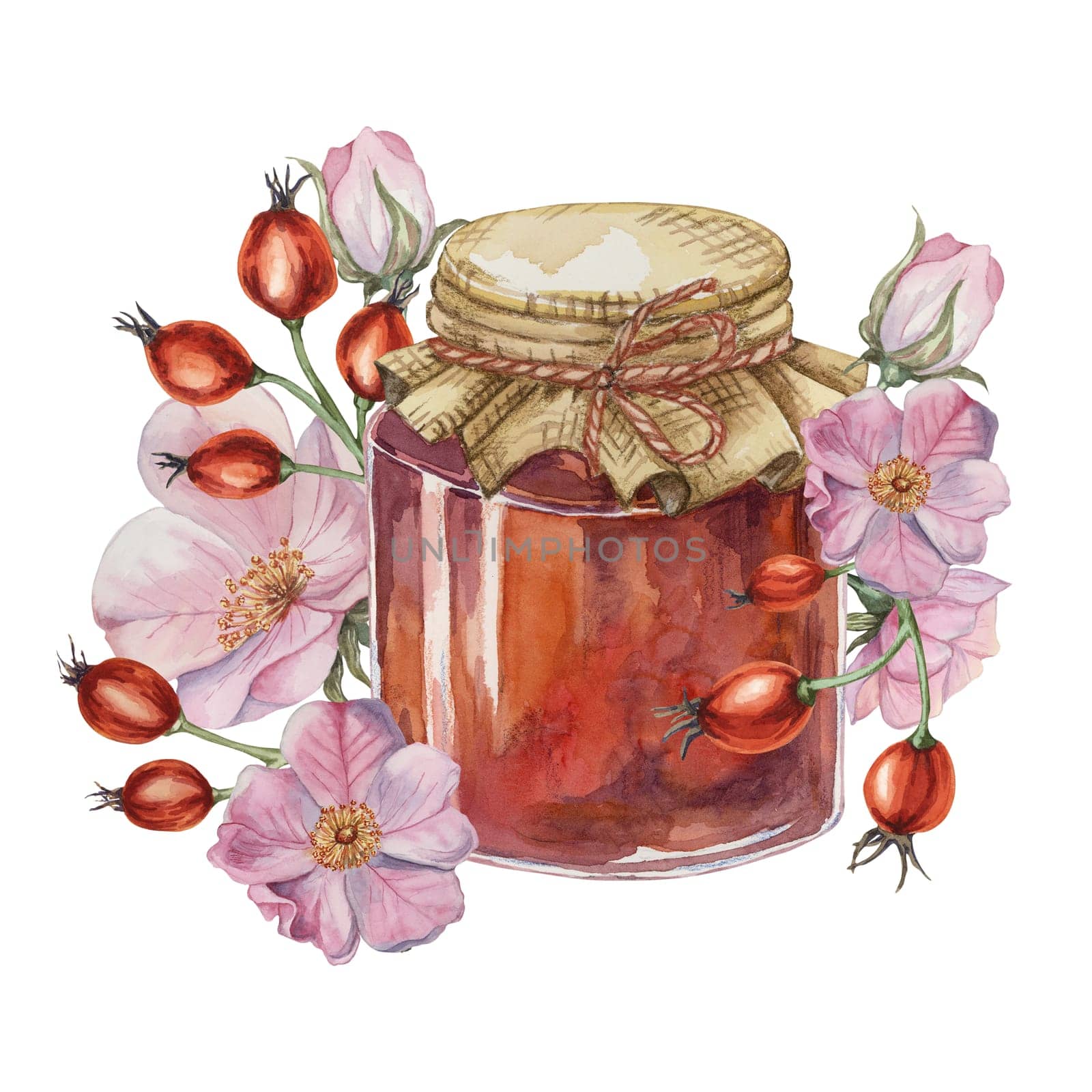 Rose hip jam in glass jar with pink flowers and red fruits. Rosehip berry breakfast jelly watercolor illustration for printing, food packaging, labels, cards, stickers, scrapbooking