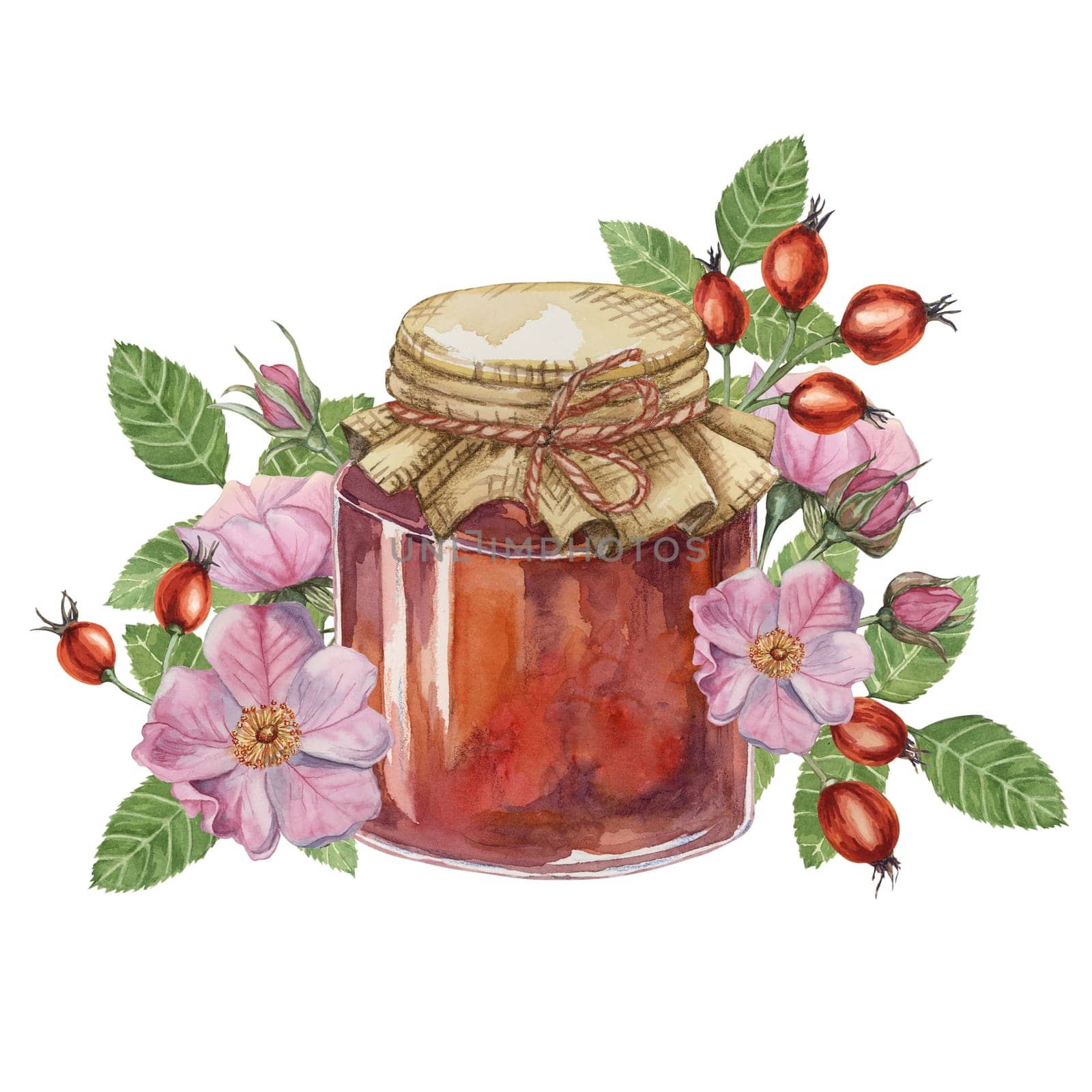 Rose hip jam in glass jar with canvas burlap fabric lid and twine rope bow. German fruit preserve jelly watercolor illustration for printing, food packaging, labels, cards, stickers, scrapbooking