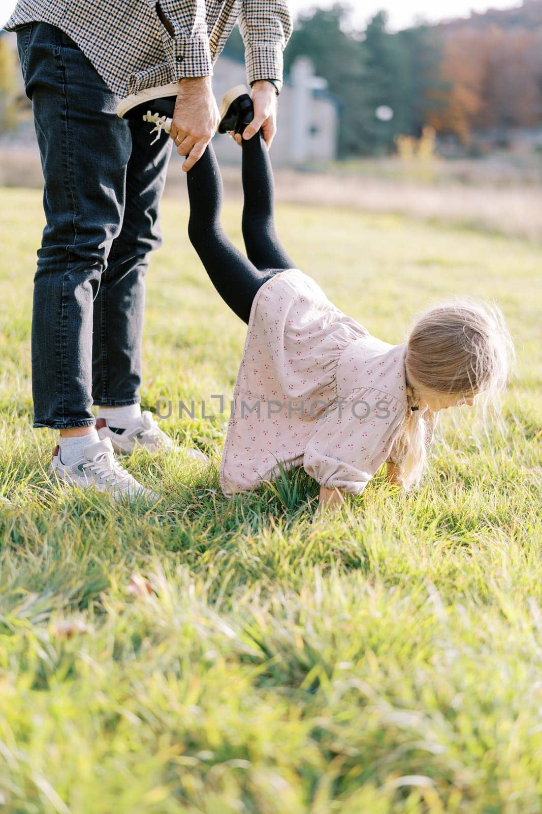 Dad holds the legs of a little girl walking on her hands along the green lawn. Cropped by Nadtochiy