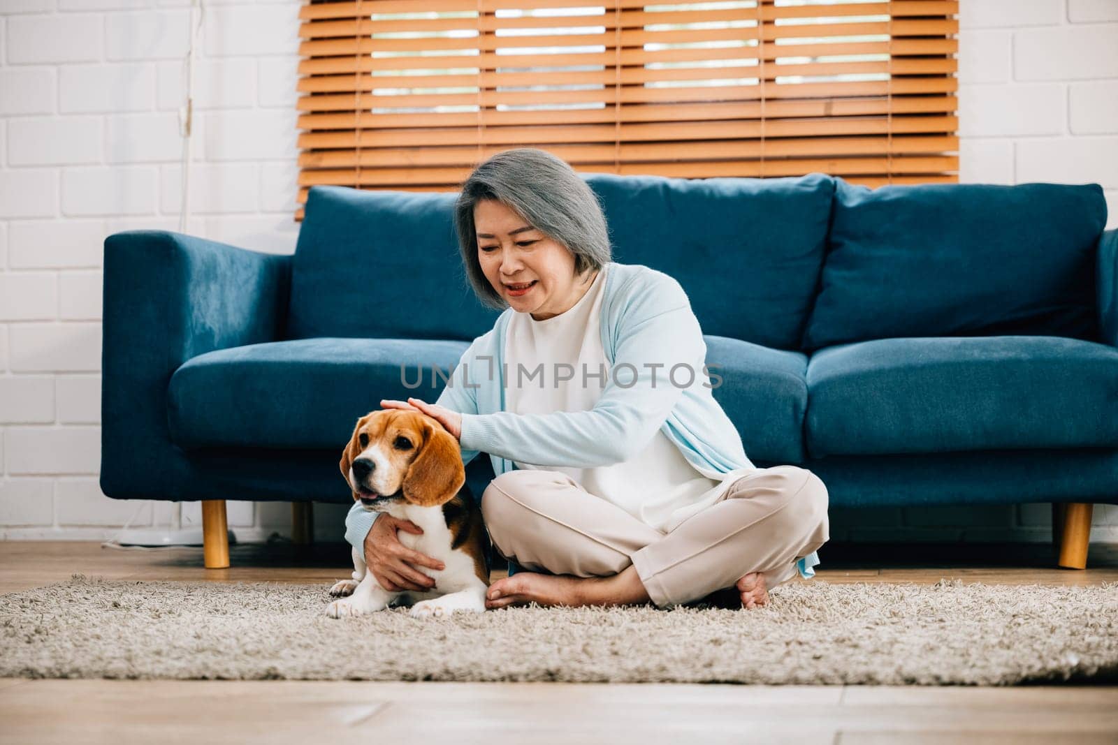 Warm moments, An old lady sits on the sofa, embracing her Beagle puppy in their living room. Their friendship and happiness make this home a haven of love and warmth. Pet love