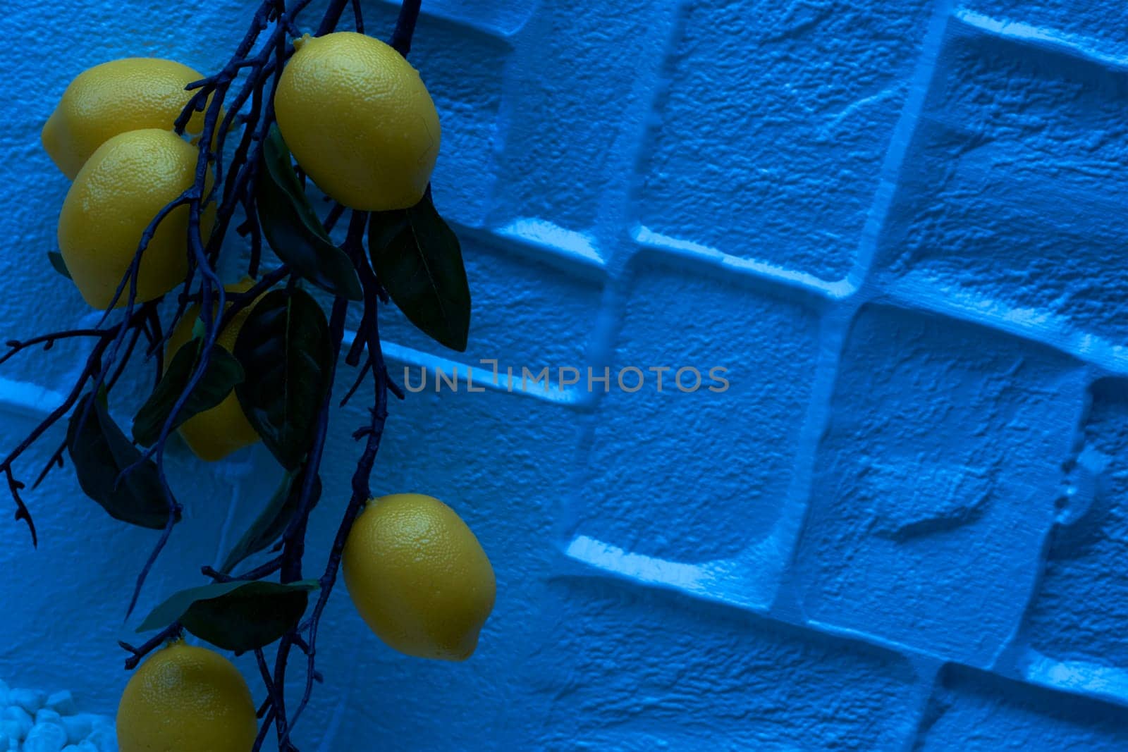 Lemon branch with fruits in moonlit night light by jovani68