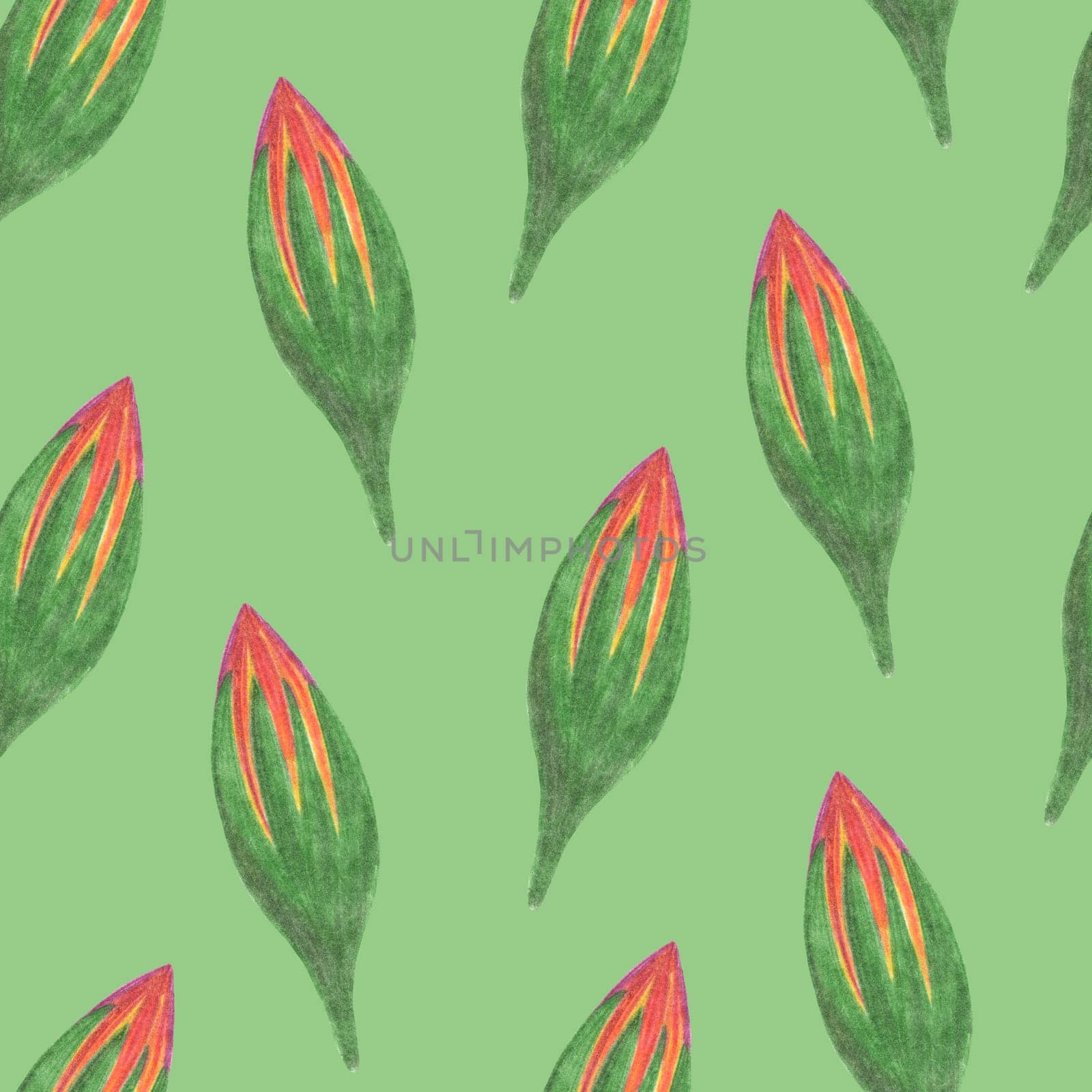 Marigold Flower Bud Seamless Pattern. Floral Bud Digital Paper on Green Background.
