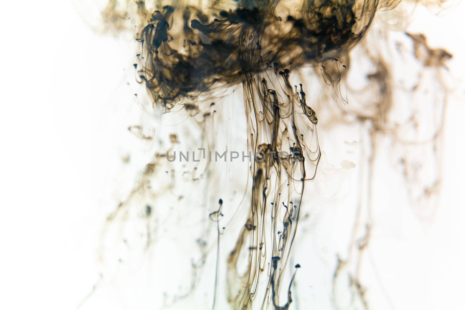 Swirls of black ink creating captivating patterns as they diffuse in a tranquil water canvas.