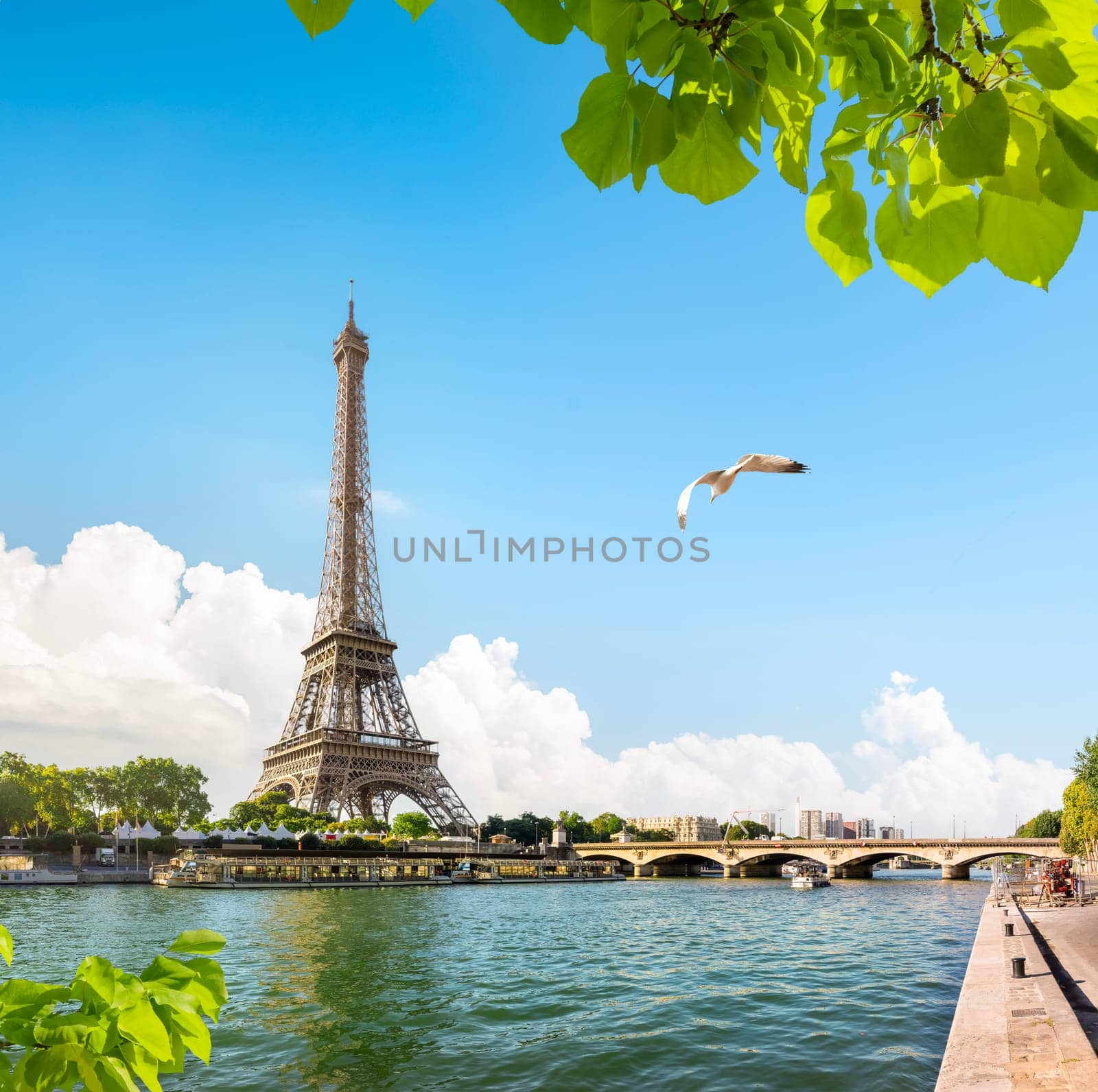 Seine in Paris with Eiffel Tower at daytime