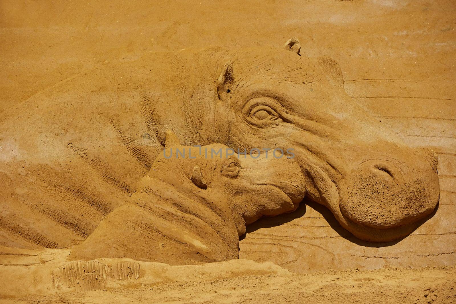 Sondervig, Denmark, May 11, 2024: International Sand Sculpture Festival. Hippopotamus with a child