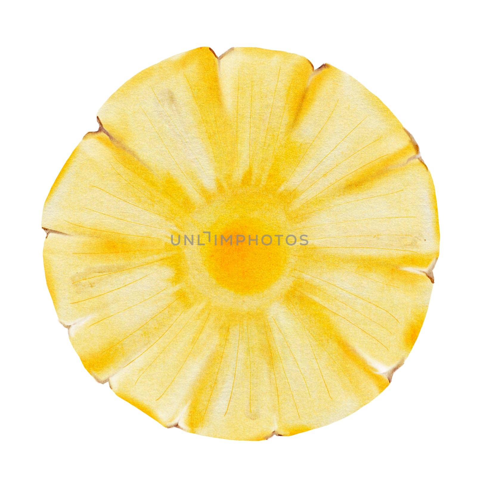 Pineapple watercolor. Clip art isolated on white background of exotic fruit. For cocktail menus, vegan recipes and packaging design for natural cosmetics. High quality illustration