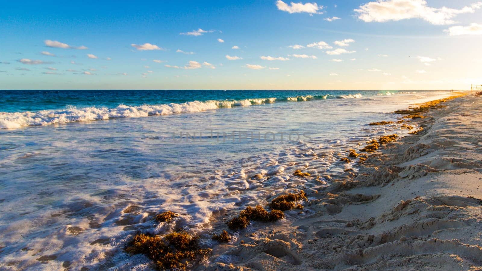 Horseshoe Bay Beach and Deep Bay Beach in Hamilton, Bermuda