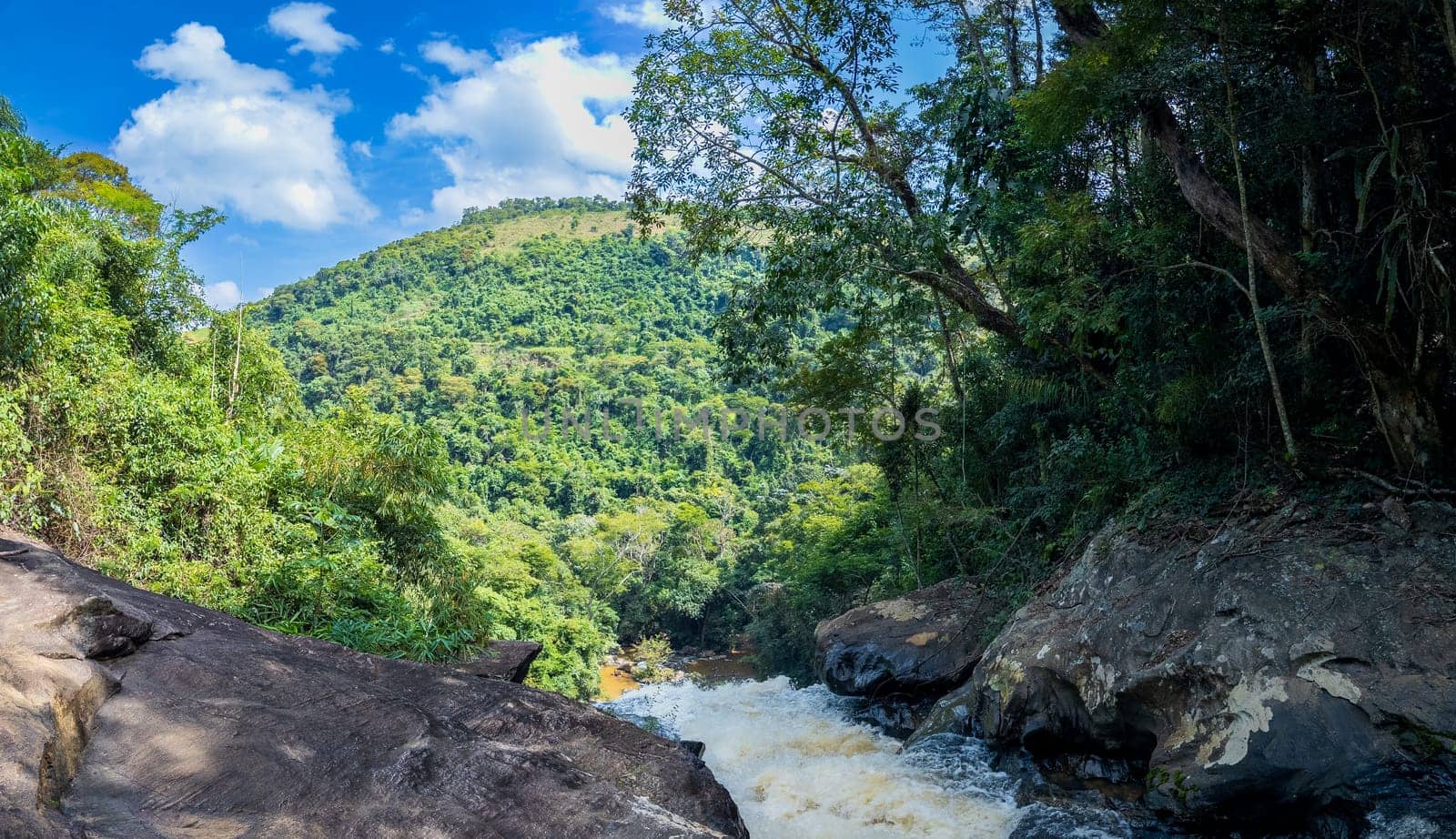 A scenic view of a turbulent river flanked by lush jungle under a clear blue sky.
