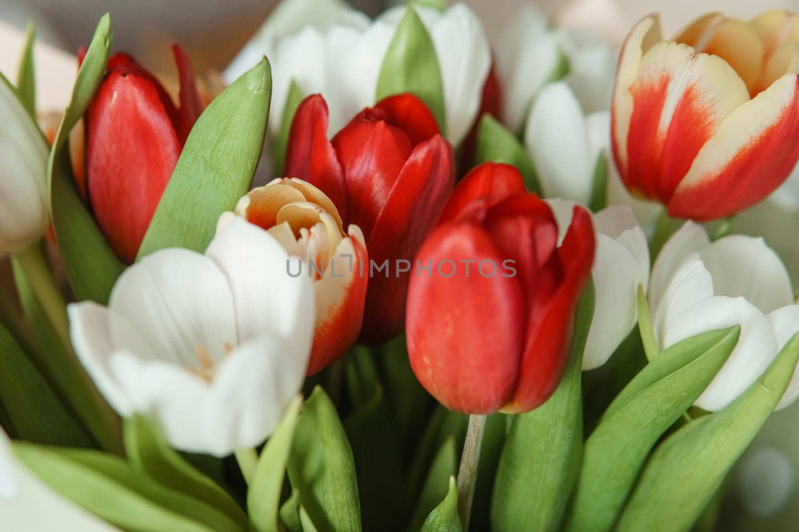 Spring Gift: Bright Tulip Bouquet for a Special March 8th Celebration