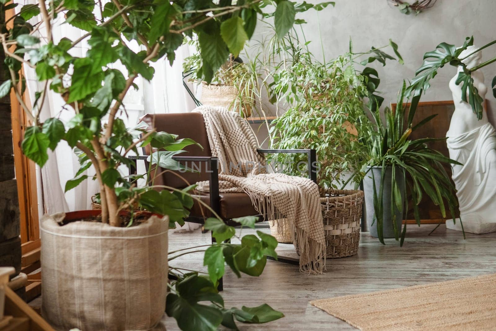 A fragment of the interior with a variety of indoor plants and plaster sculptures. Urban jungle concept. Biophilia design.