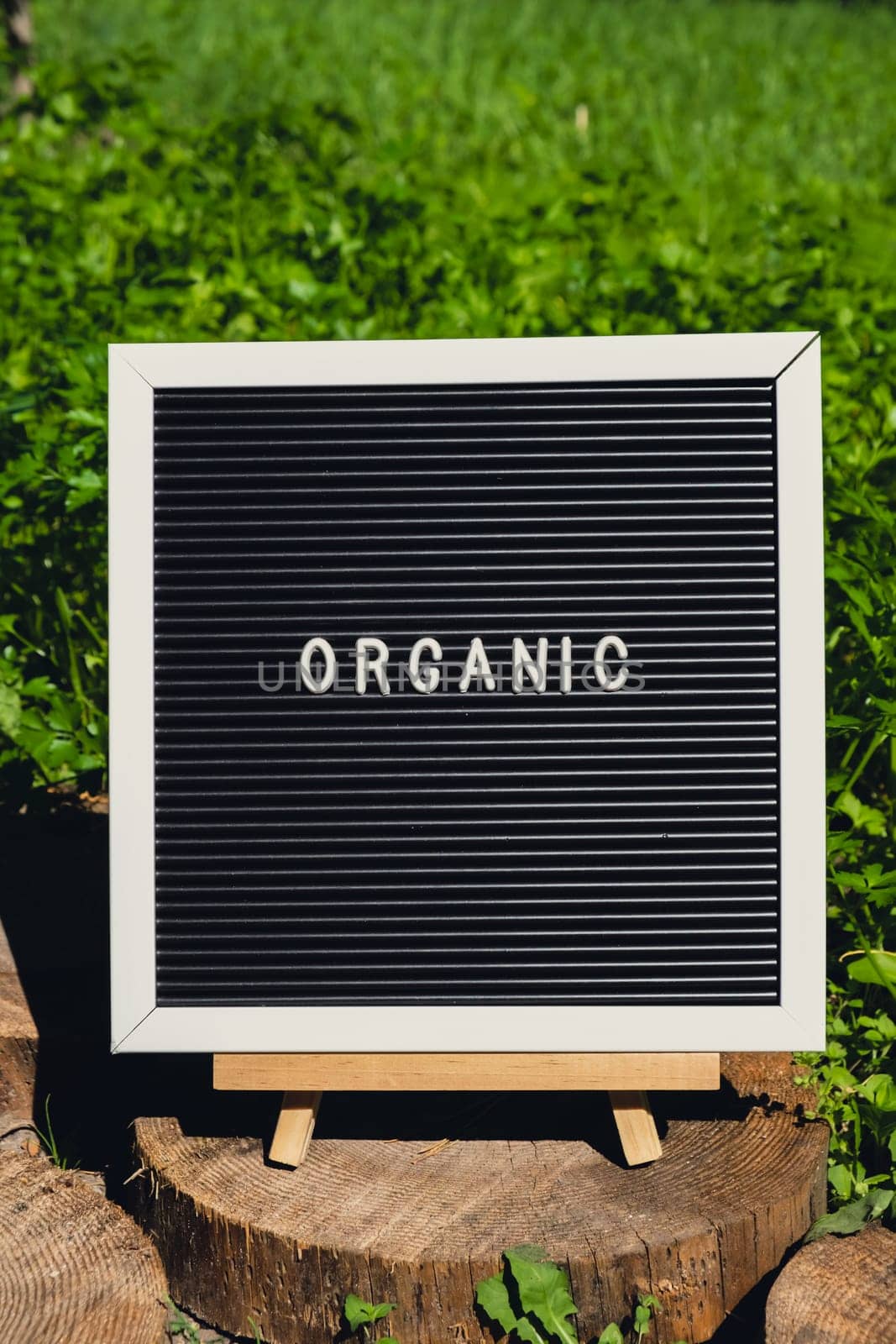 ORGANIC message on background of fresh eco-friendly bio grown green herb parsley in garden. Countryside food production concept. Locally produce harvesting. Sustainability by anna_stasiia