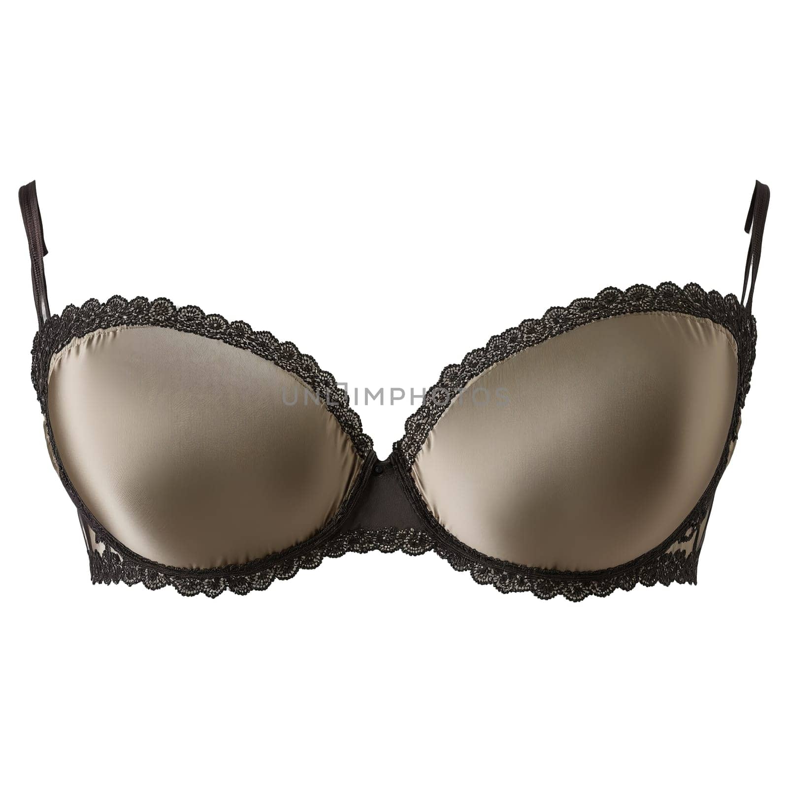 Sophisticated Taupe Silk Bra A sophisticated taupe silk bra with a neutral elegant color showcasing by panophotograph