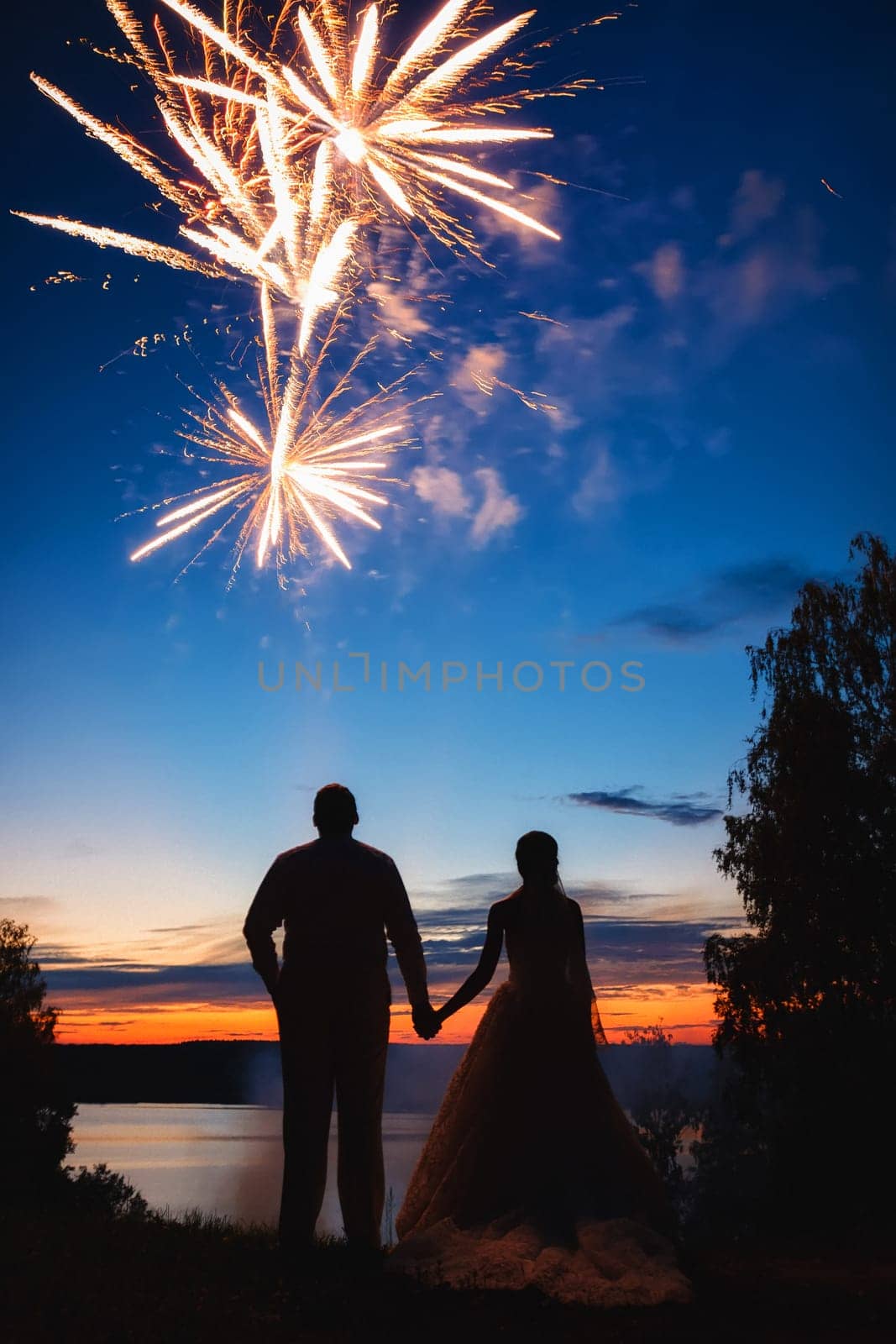 The bride and groom watching the fireworks, silhouette