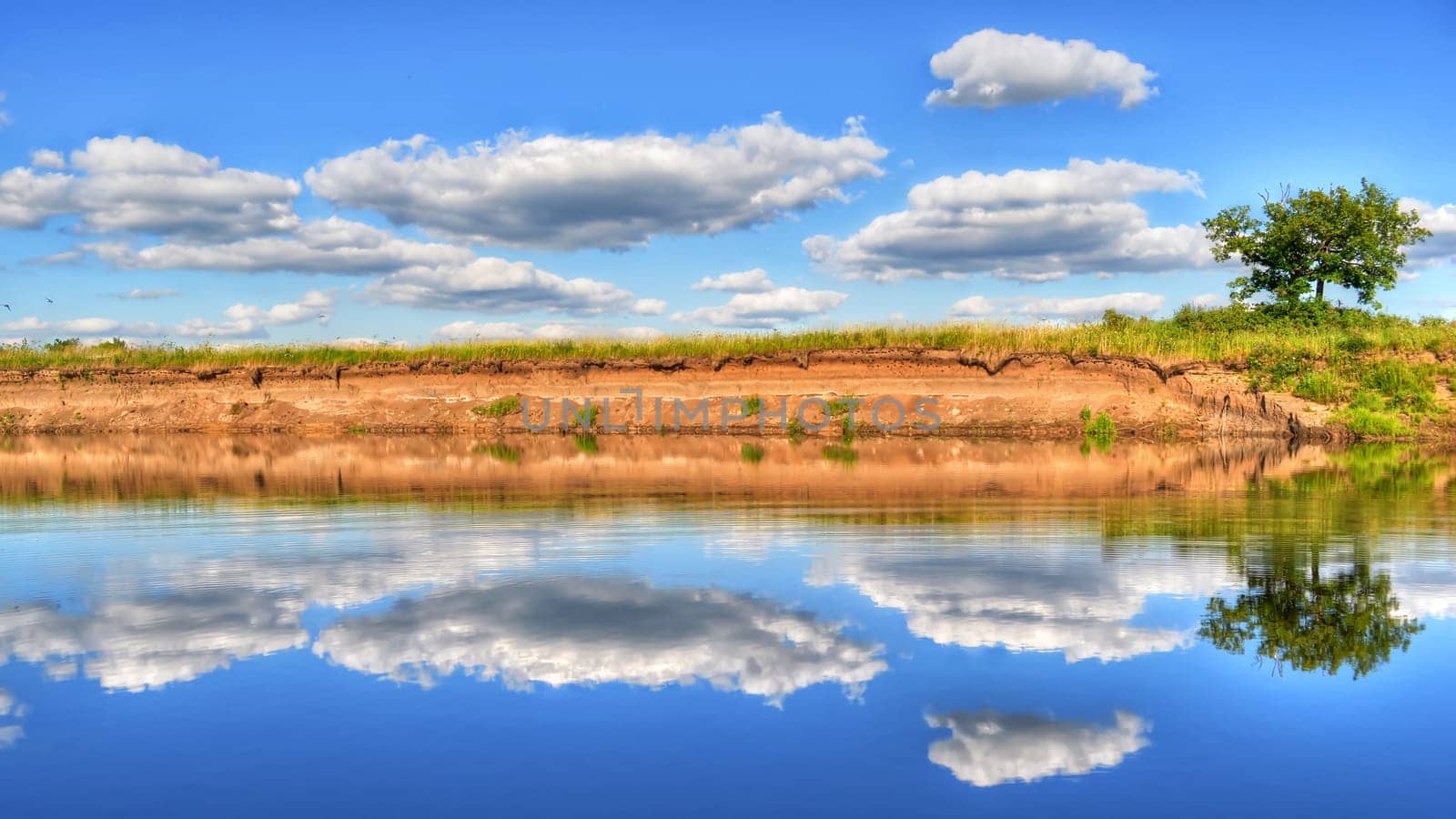 tree and blue sky with clouds reflected in the water of the river in the summer