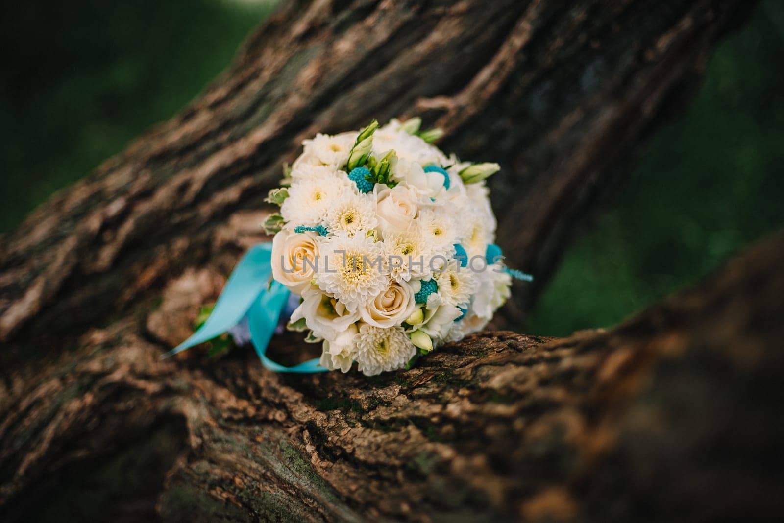 wedding bouquet of white roses with blue ribbon is on the tree