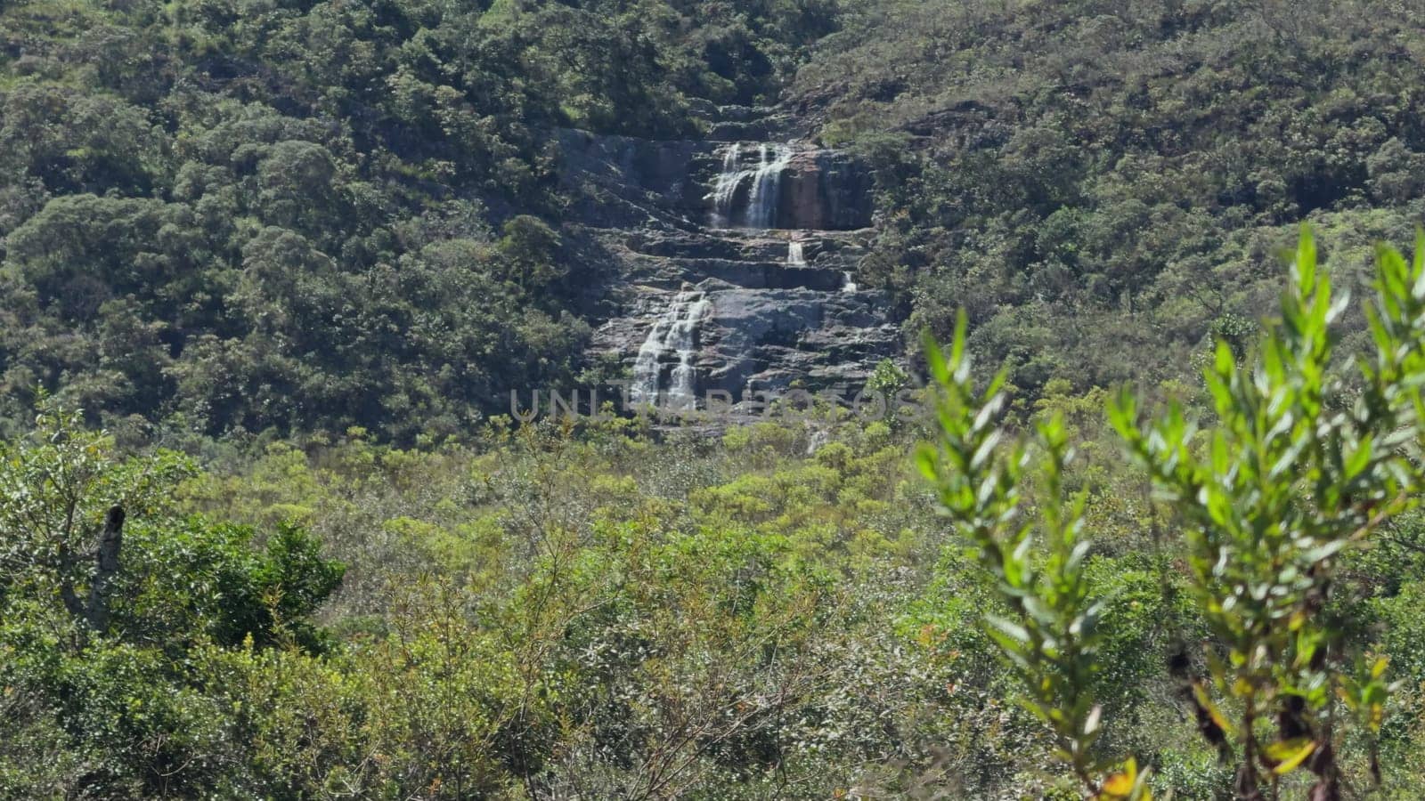 Serene Waterfall in Brazilian Atlantic Forest on Summer Day by FerradalFCG