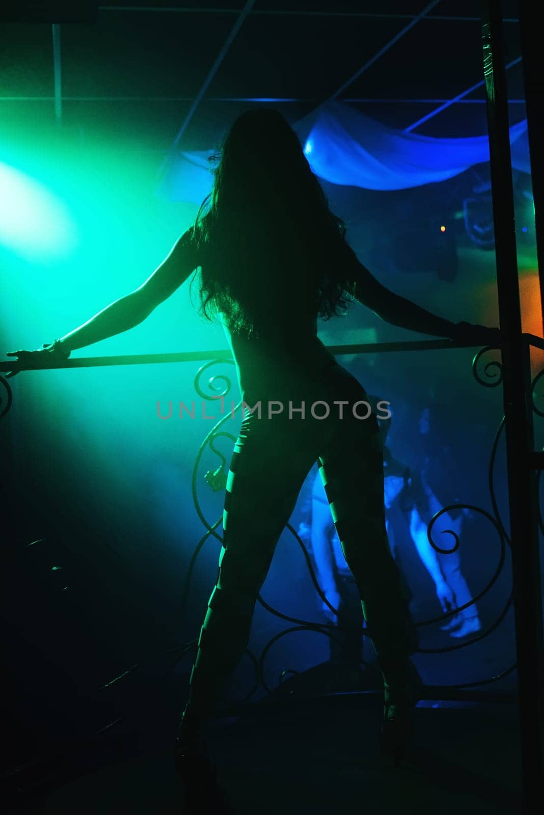 slender dancer go-go posing on the stage of a nightclub with the sexy tush