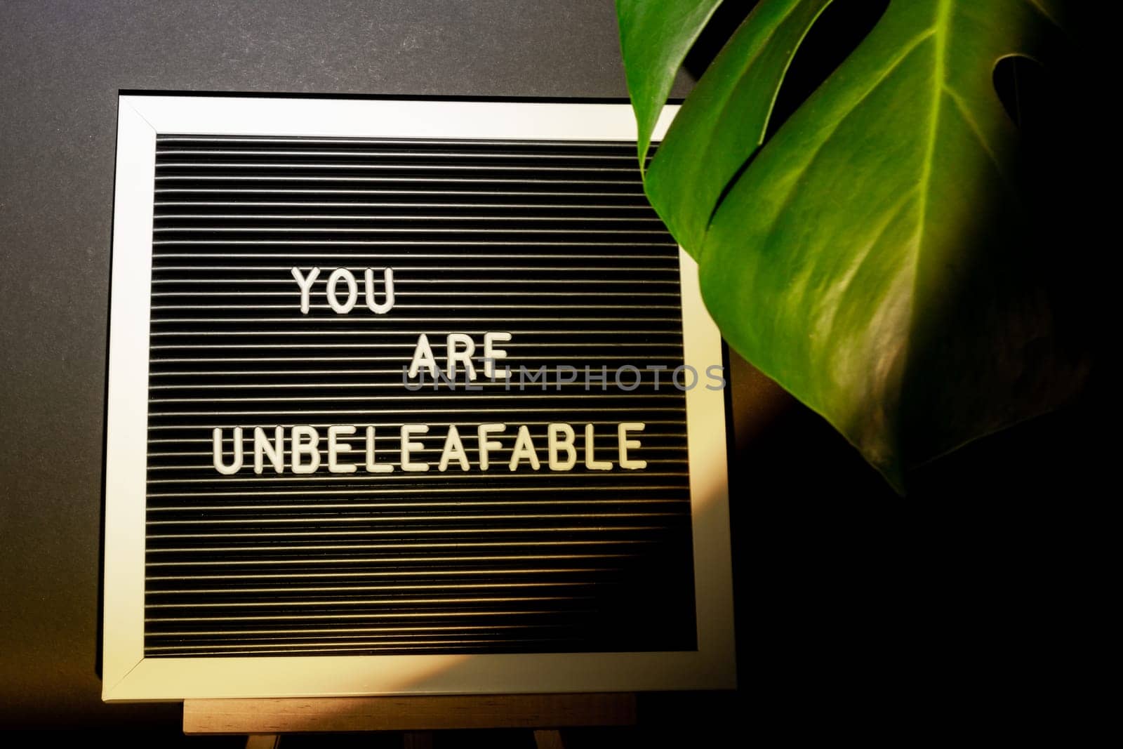 Funny joke idea inscription saying YOU ARE UNBELEAFABLE unbelievable Monstera silhouette leaf in dark background and light from sunset aesthetic lamp. Projector yellow light golden hour effect. House plants sustainable environmentally friendly by anna_stasiia