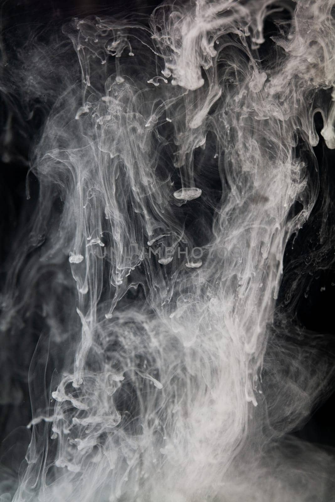 Graceful blend of white ink swirls cascading through black void, creating delicately interwoven patterns. Grey cloud and smoke of paint in water isolated on black background.