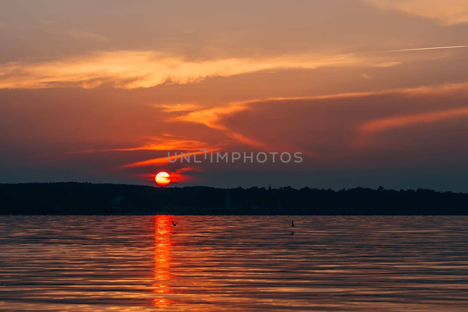 sunset over the water with the red sun and orange sky with silhouettes of flying birds
