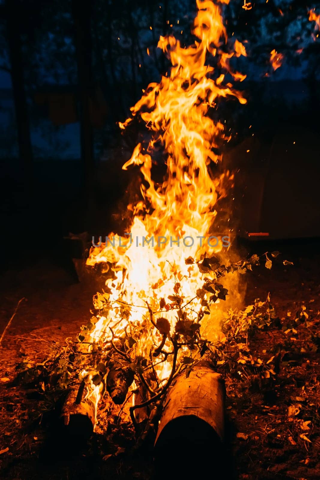 fire of wood night camping trip on summer vacation night