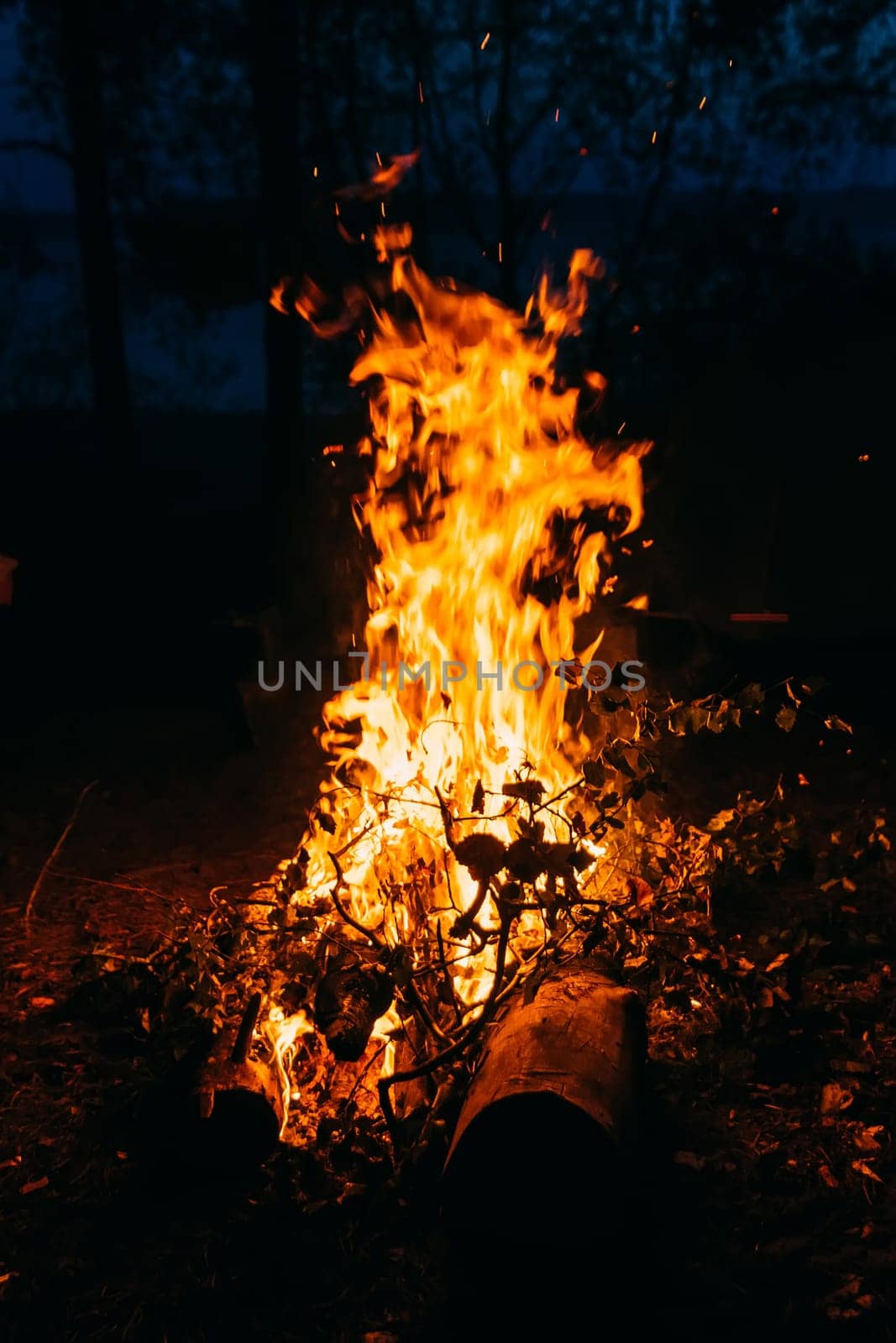 red orange fire flame travel of firewood by alexkoral