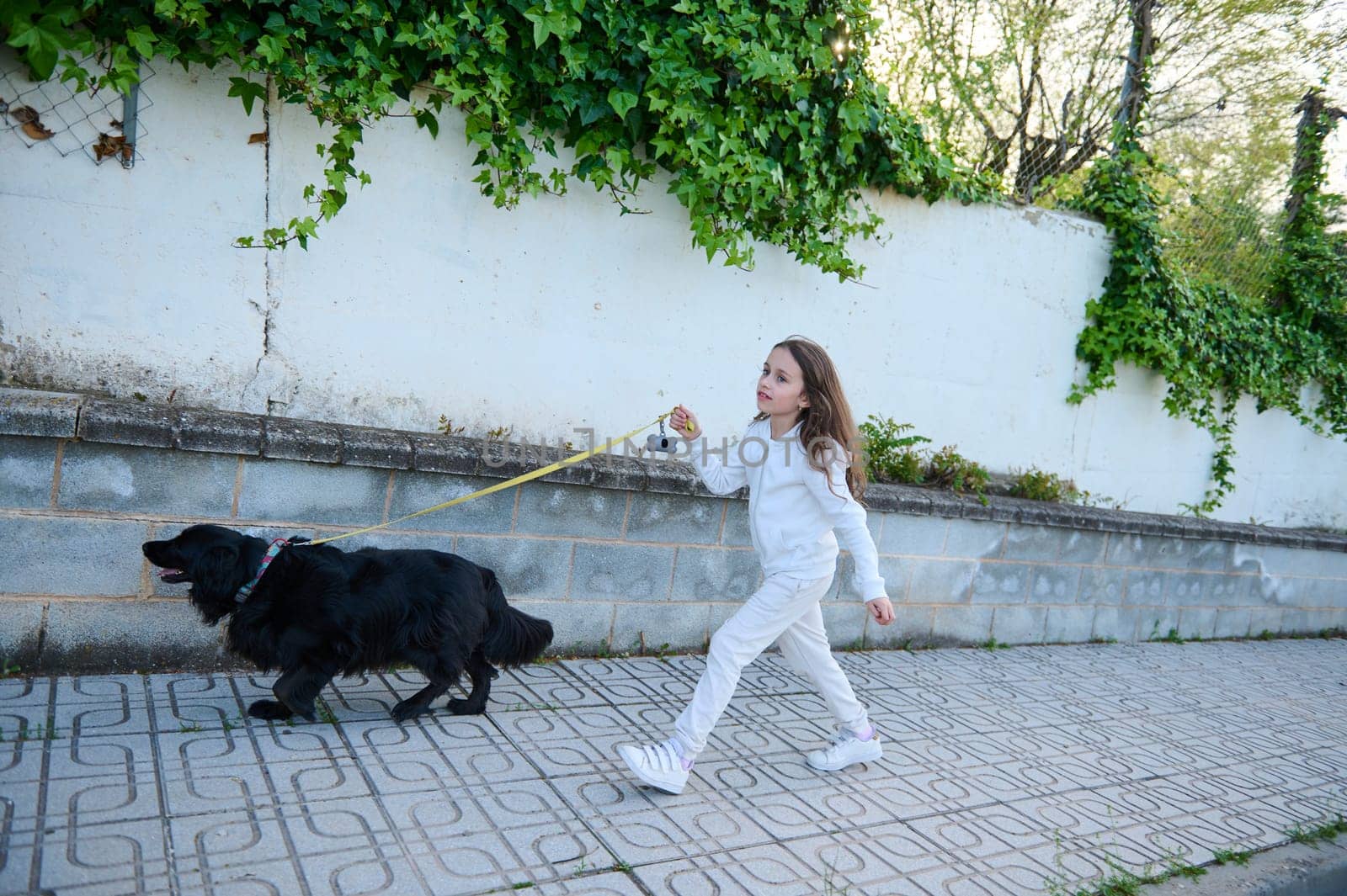 Happy child girl enjoying walking her dog outdoors in the nature. Caucasian cheerful school age kid taking her pedigree black cocker spaniel dog for a walk on sunny day. Side view