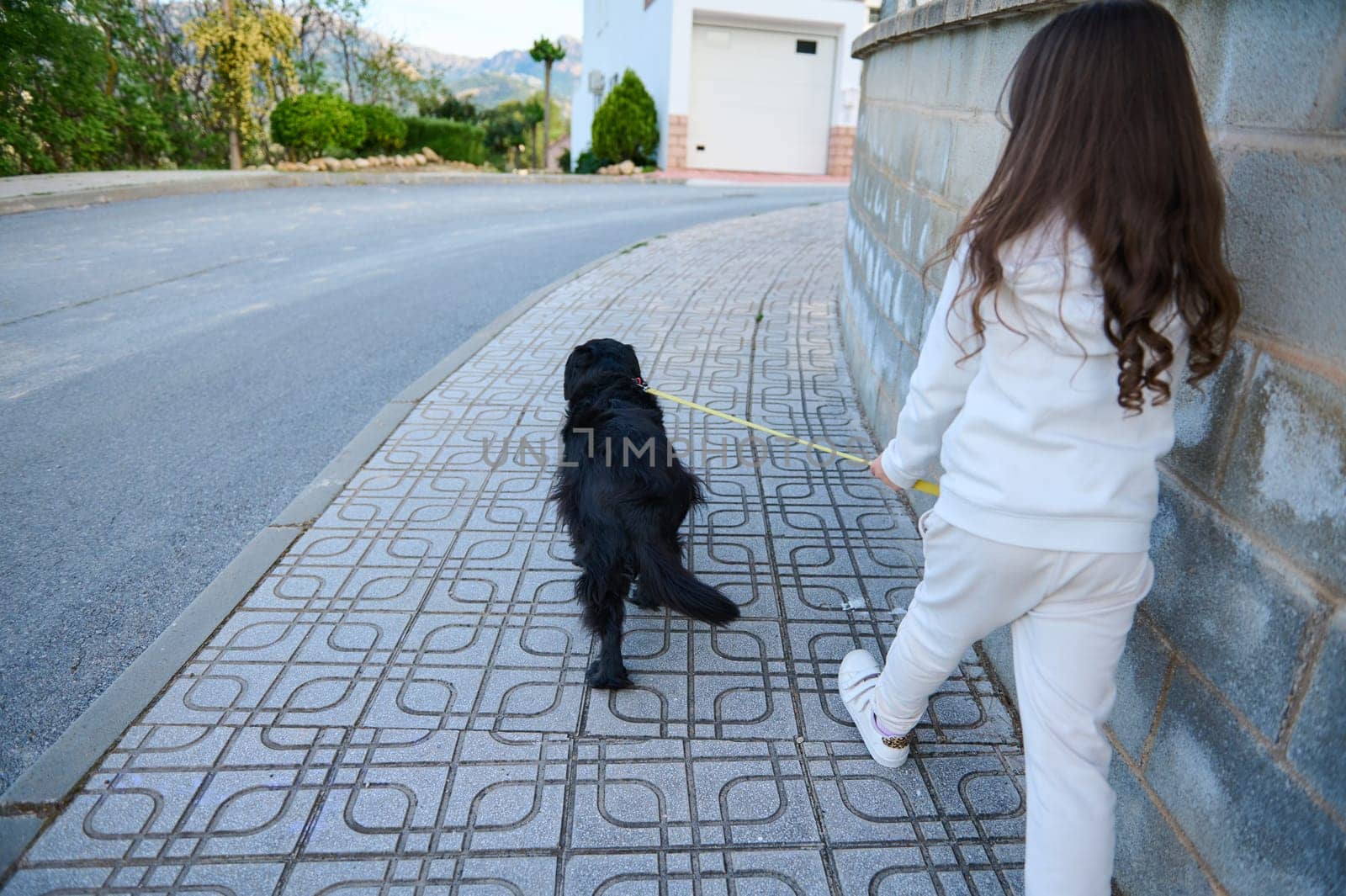 Rear view little girl walking her dog on the street. Elementary age kid spending time with her pedigree cocker spaniel on leash. Childhood. Domestic animals. Playing pets concept. View from the back