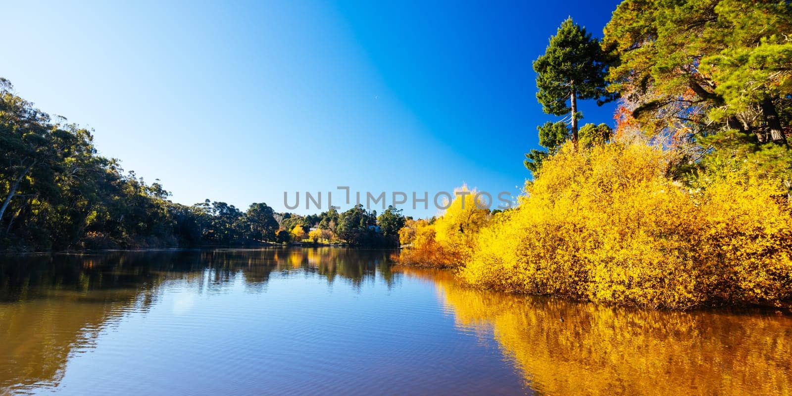 DAYLESFORD, AUSTRALIA - MAY 12 2024: Landscape around Lake Daylesford in a cool late autumn afternoon in Daylesford, Victoria, Australia