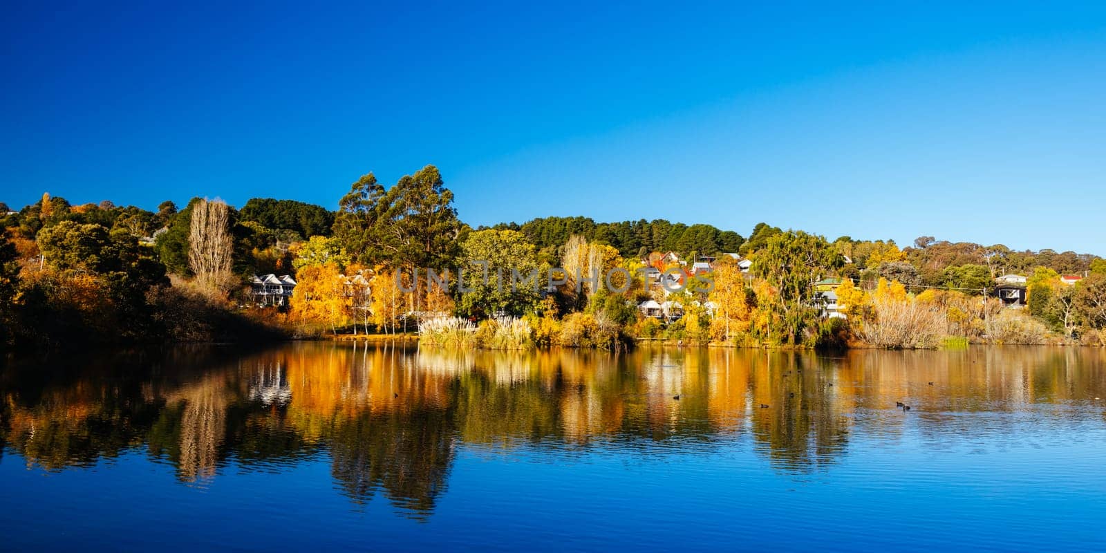 DAYLESFORD, AUSTRALIA - MAY 12 2024: Landscape around Lake Daylesford in a cool late autumn afternoon in Daylesford, Victoria, Australia