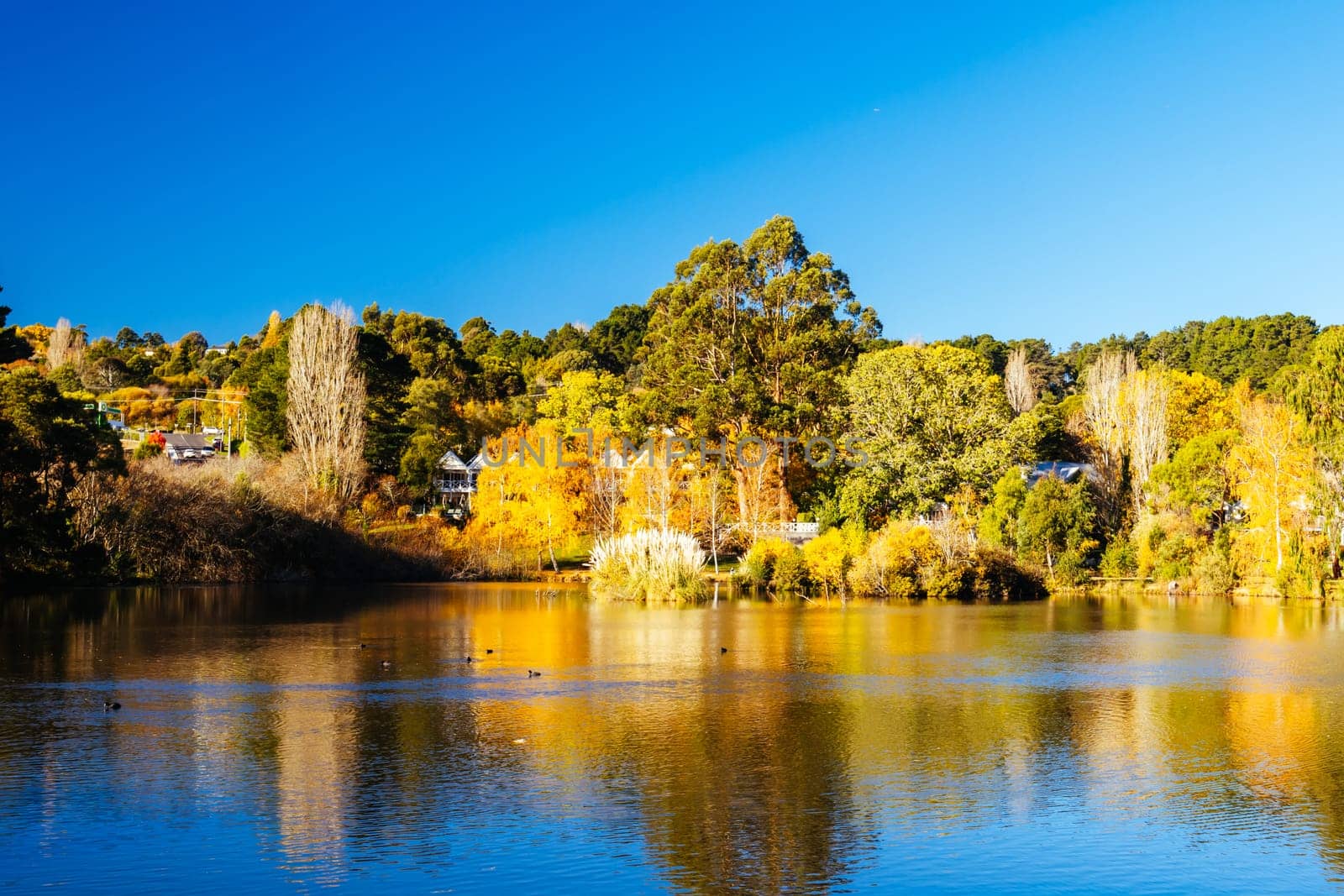 DAYLESFORD, AUSTRALIA - MAY 12 2024: Landscape around Lake Daylesford in a cool late autumn afternoon in Daylesford, Victoria, Australia