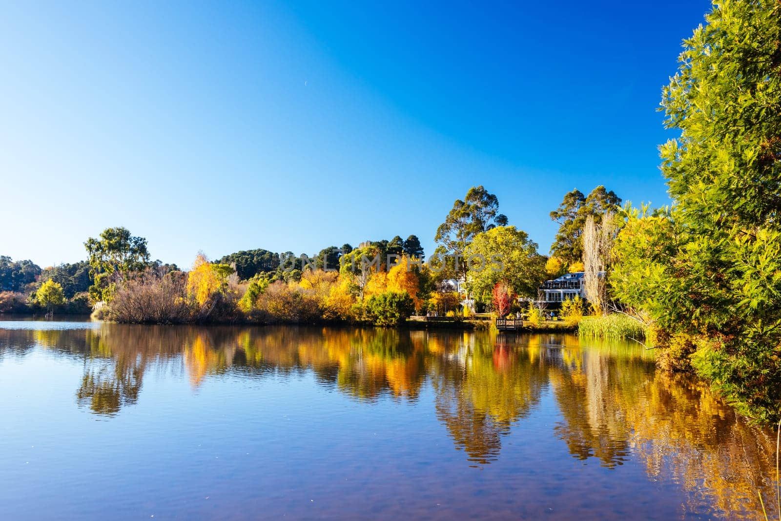 DAYLESFORD, AUSTRALIA - MAY 12 2024: Landscape around Lake Daylesford in a cool late autumn afternoon in Daylesford, Victoria, Australia