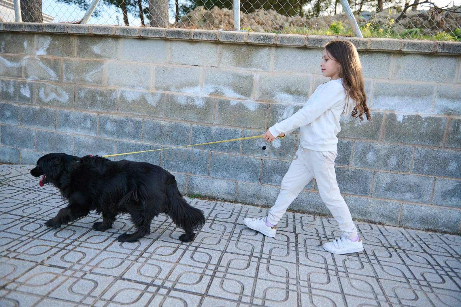 Side view little girl walking her pet on the street. Elementary age kid spending time with her pedigree cocker spaniel on leash. Childhood. Domestic animals. Playing pets concept. View from the back