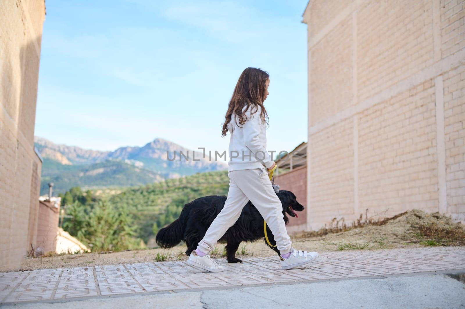 Caucasian cute little child girl taking her dog for a walk outdoors