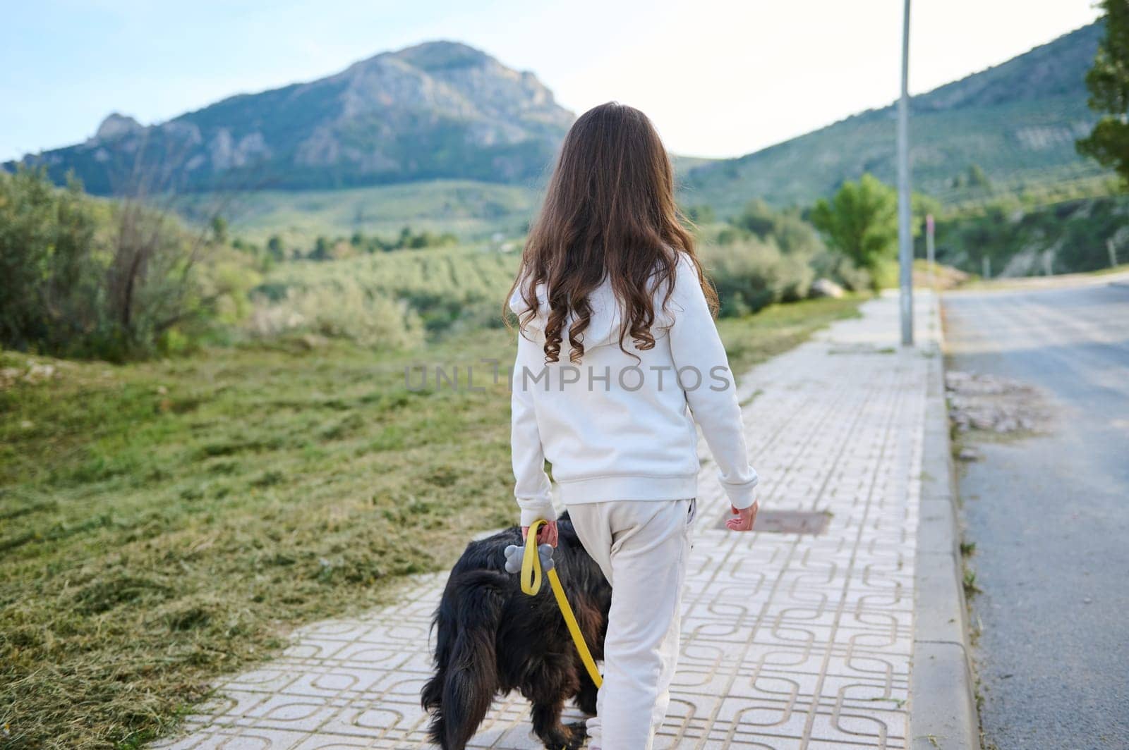 Back view of a cute little kid girl taking her cocker spaniel dog for a walk on leash in the nature against mountains background. People. Playing pets. Nature. Lifestyle. Childhood