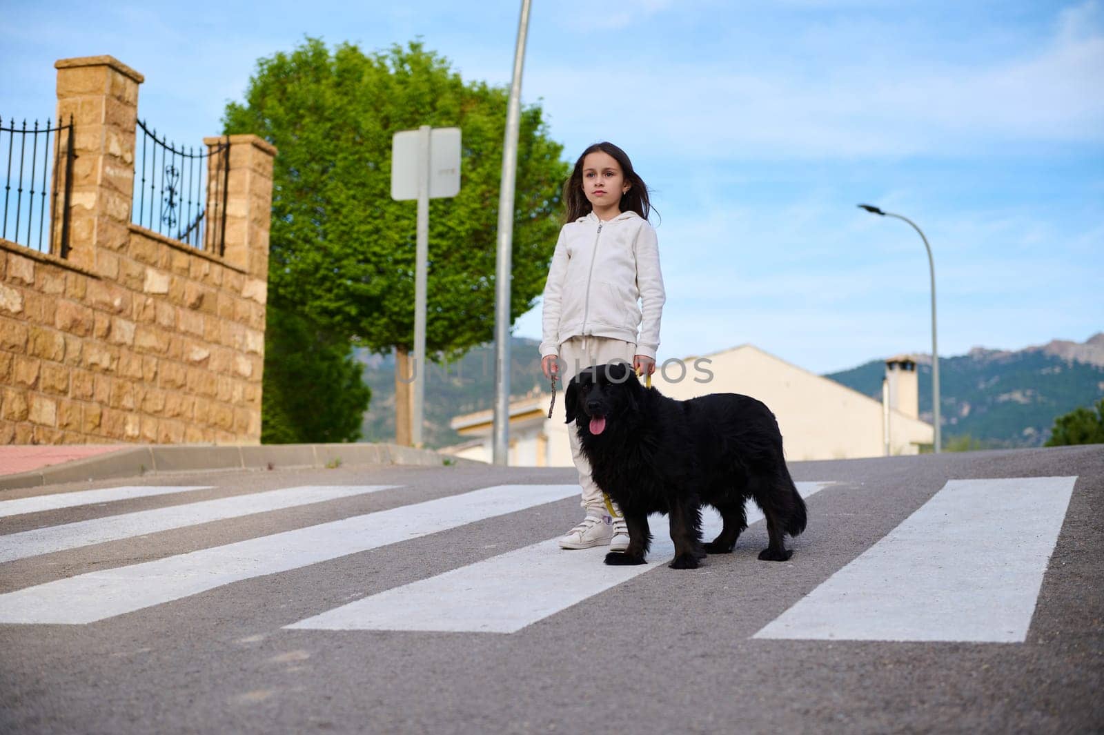 Little child girl walking her dog on the city street. Playing pets and people concept by artgf